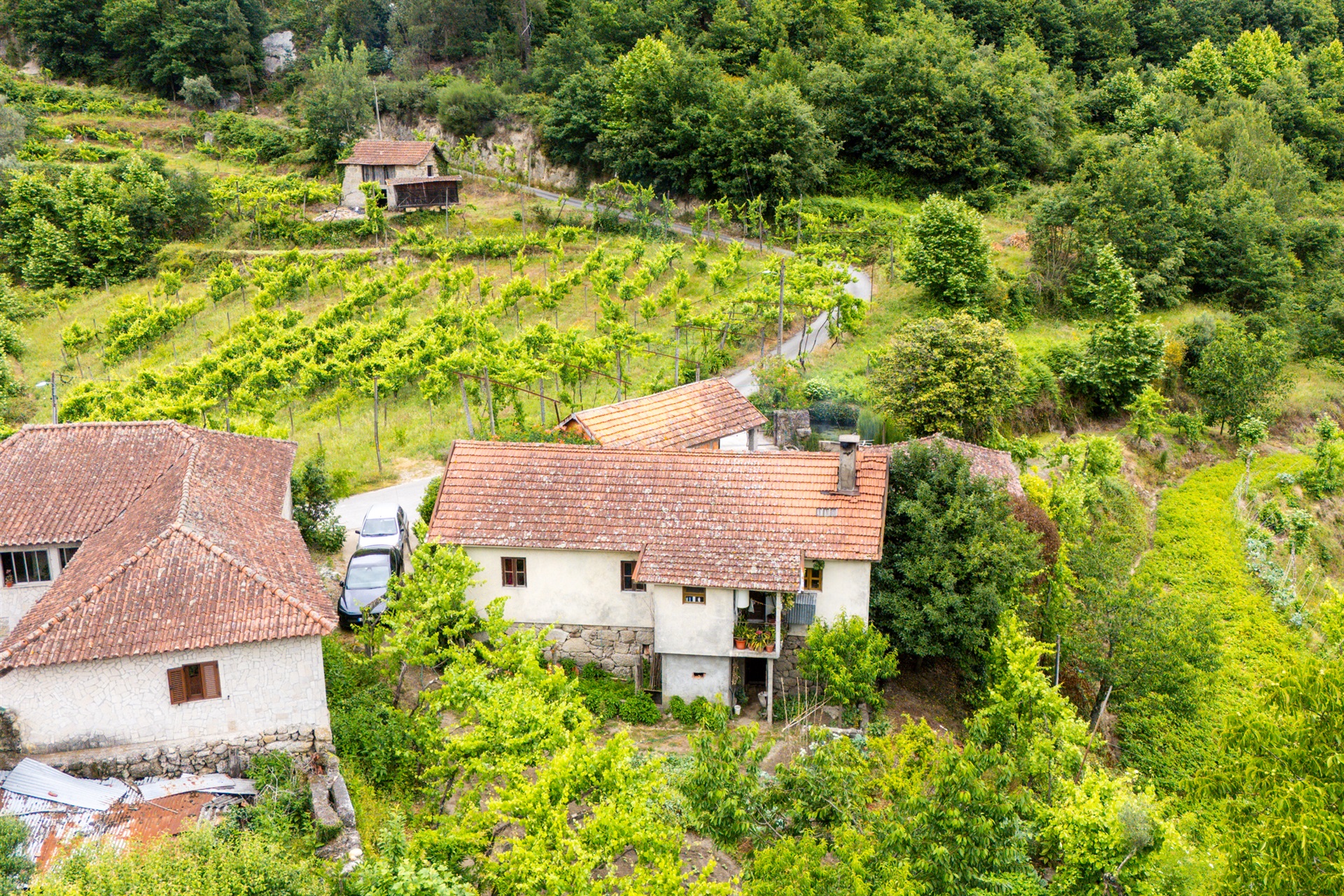 Farm, 3 bedrooms, for Sale - 物件實景