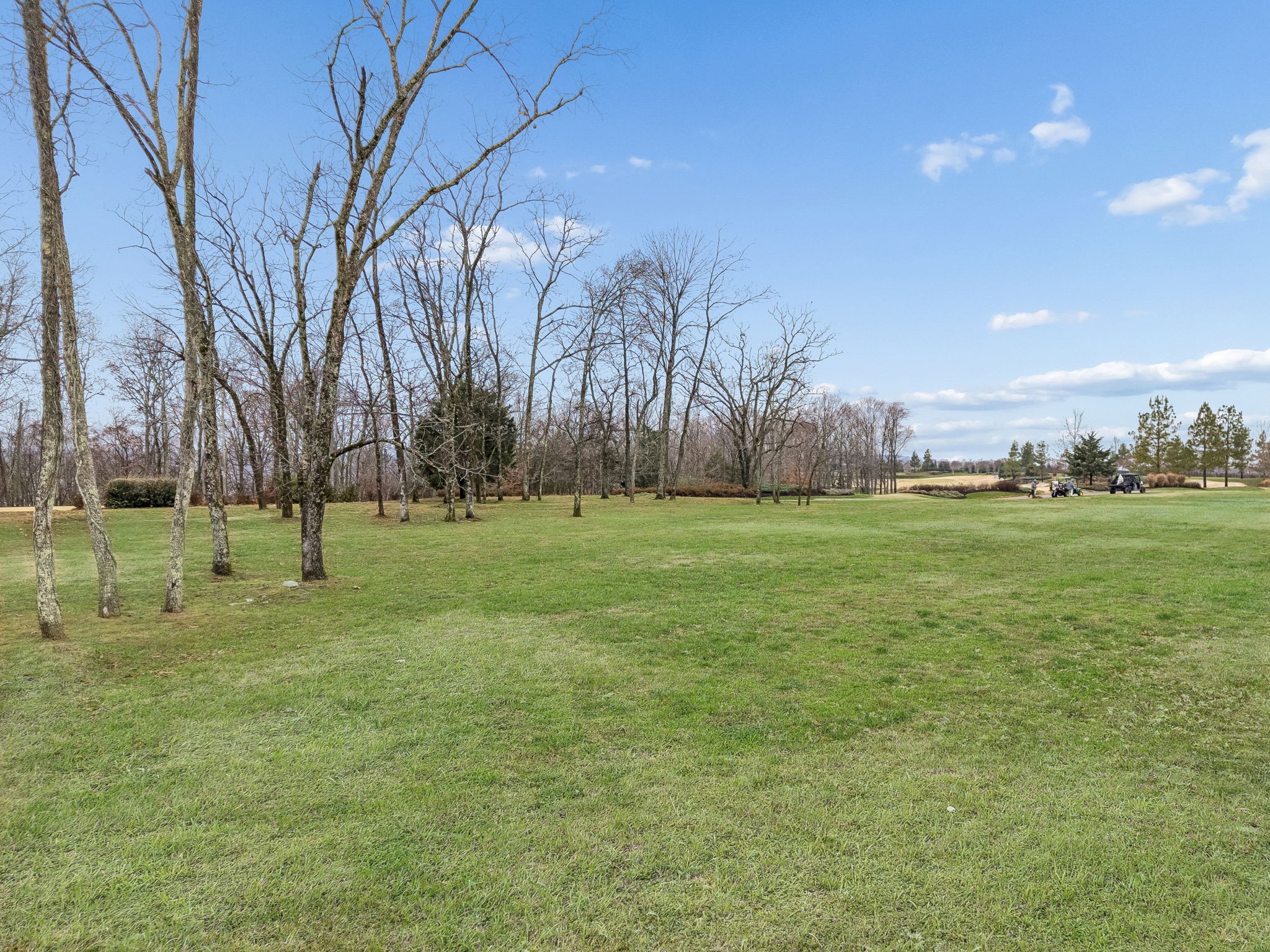  8025 Backwoods Dr, College Grove, TN, 37046 - 物件實景