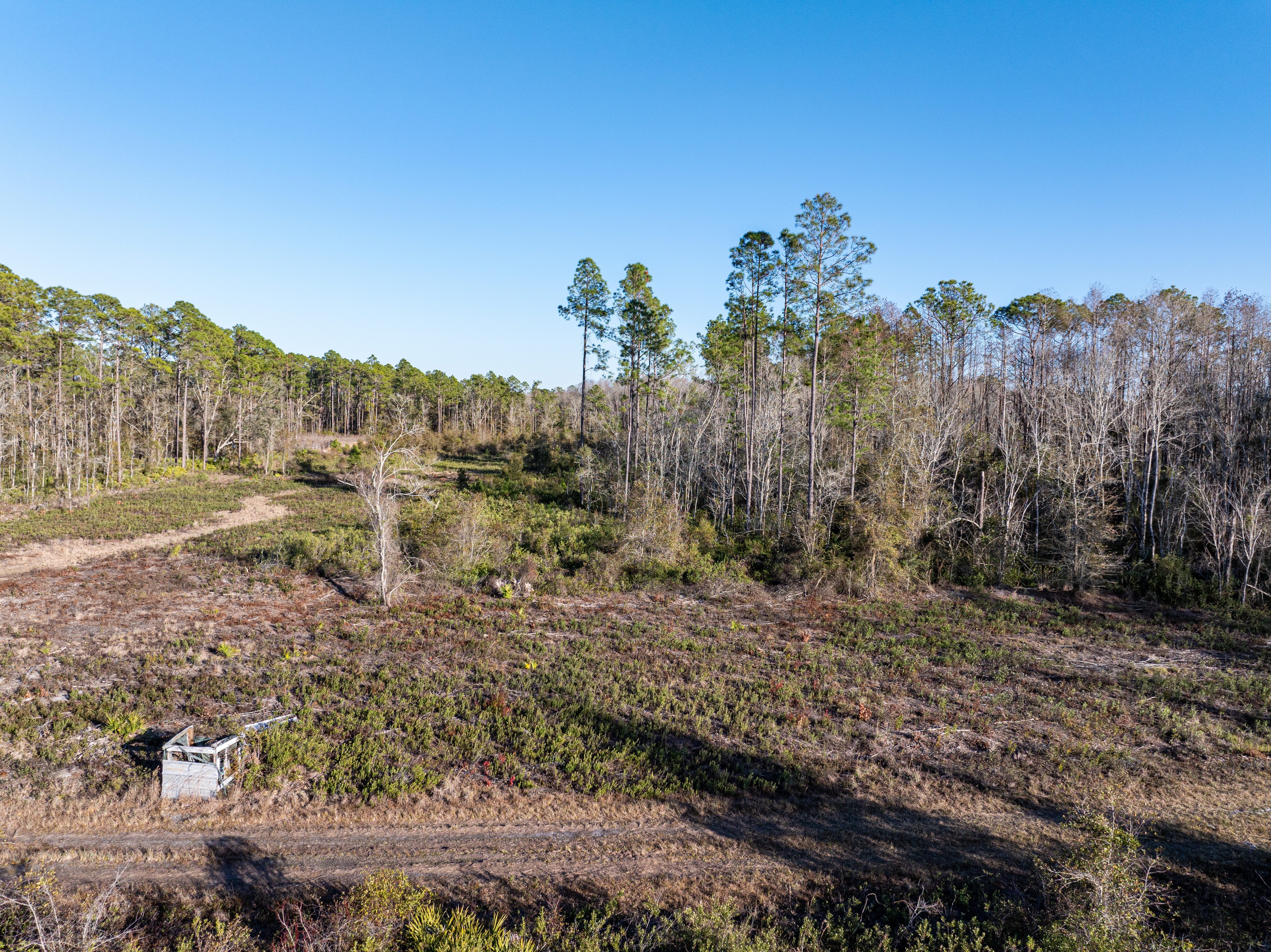 2418 NE OMAR TER, Lake City, Florida, 32055, United States, ,Land,For Sale,2418 NE OMAR TER,1680072