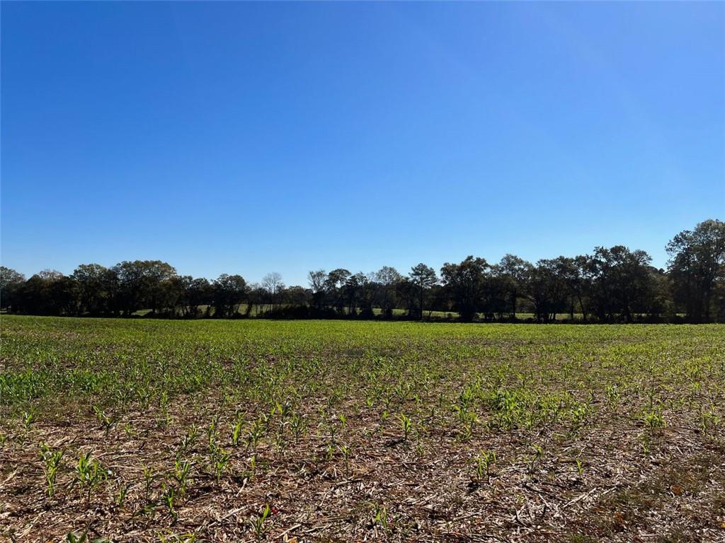 Taylorsville, Georgia, 30178, United States, ,Land,For Sale,1795283