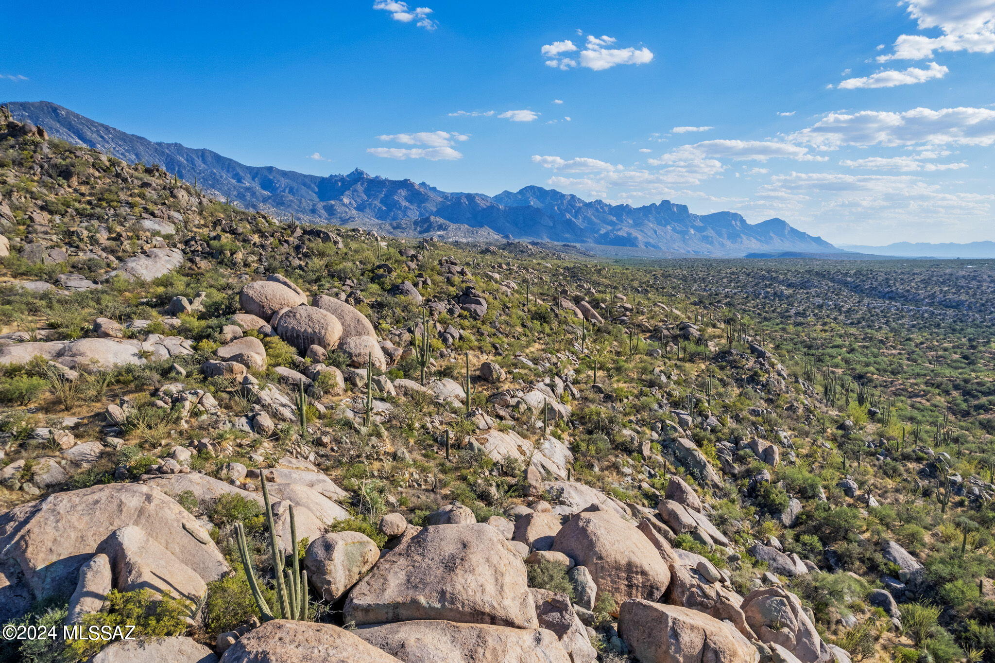 Tucson, Arizona, 85739, United States, ,Land,For Sale,1744993