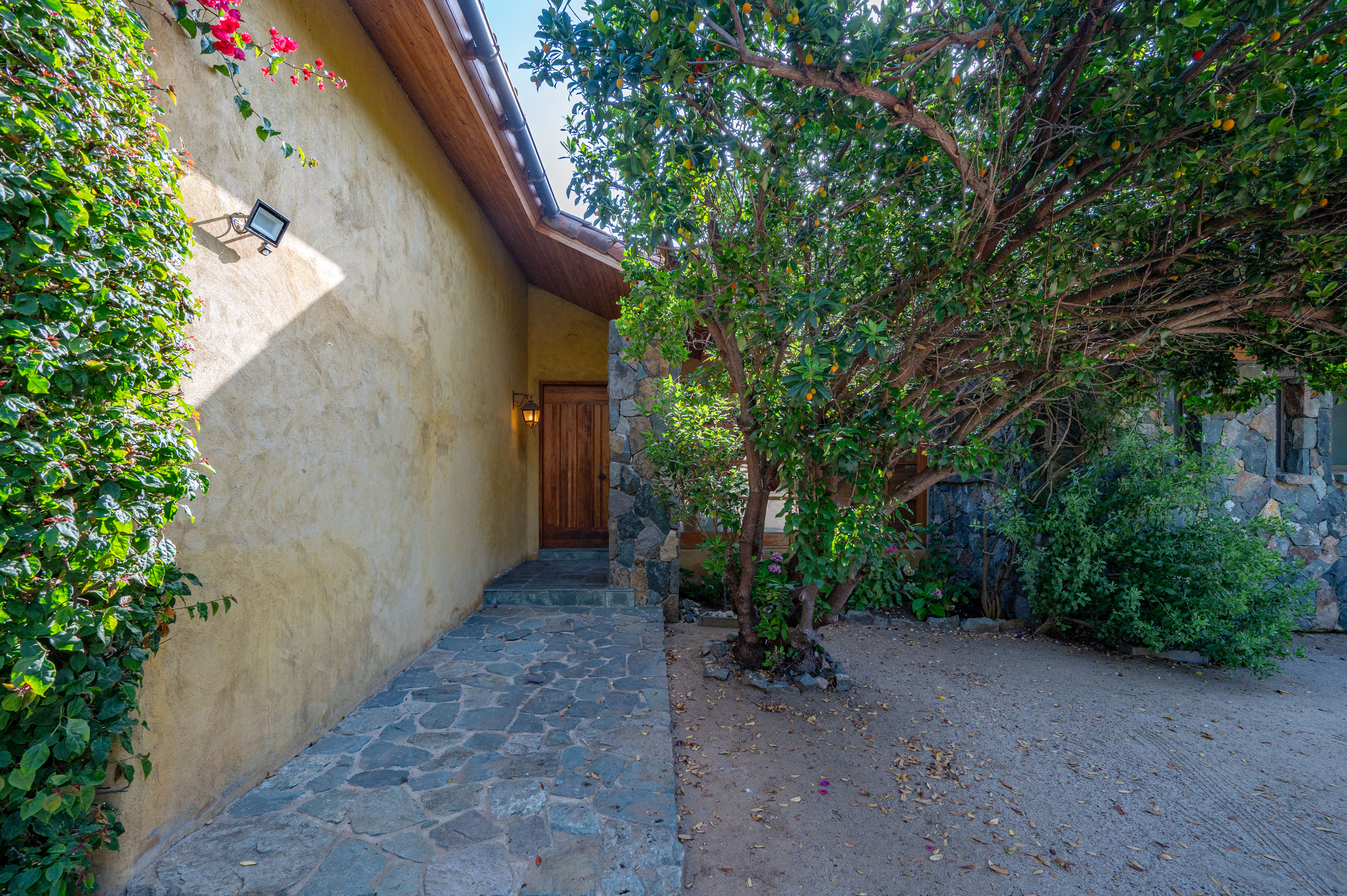  House in El Pangue with ocean view - 物件實景