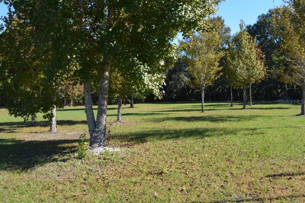 Sanford, Florida, 32773, United States, ,Land,For Sale,1987674