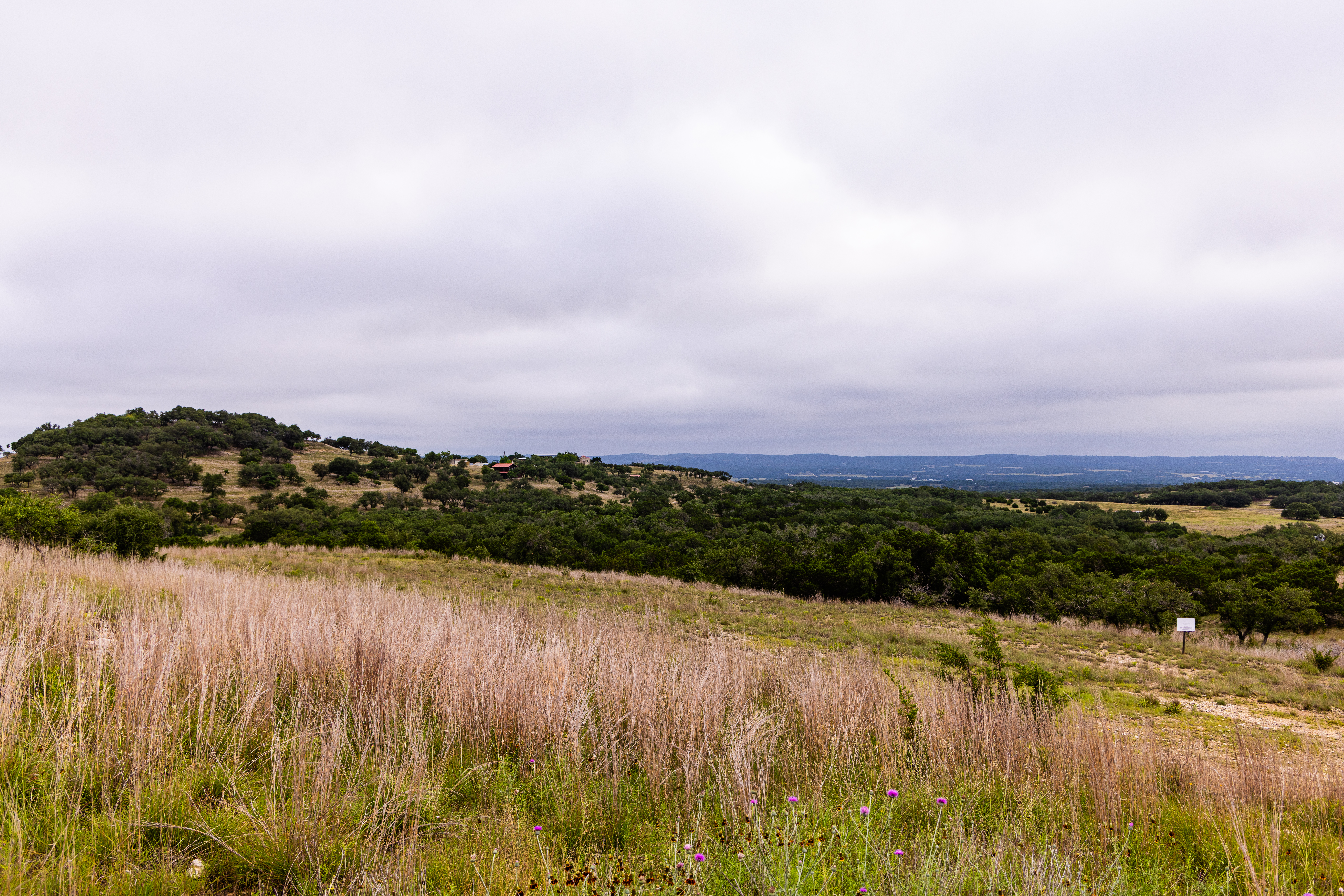  Expansive 10-Acre Lot - 物件實景