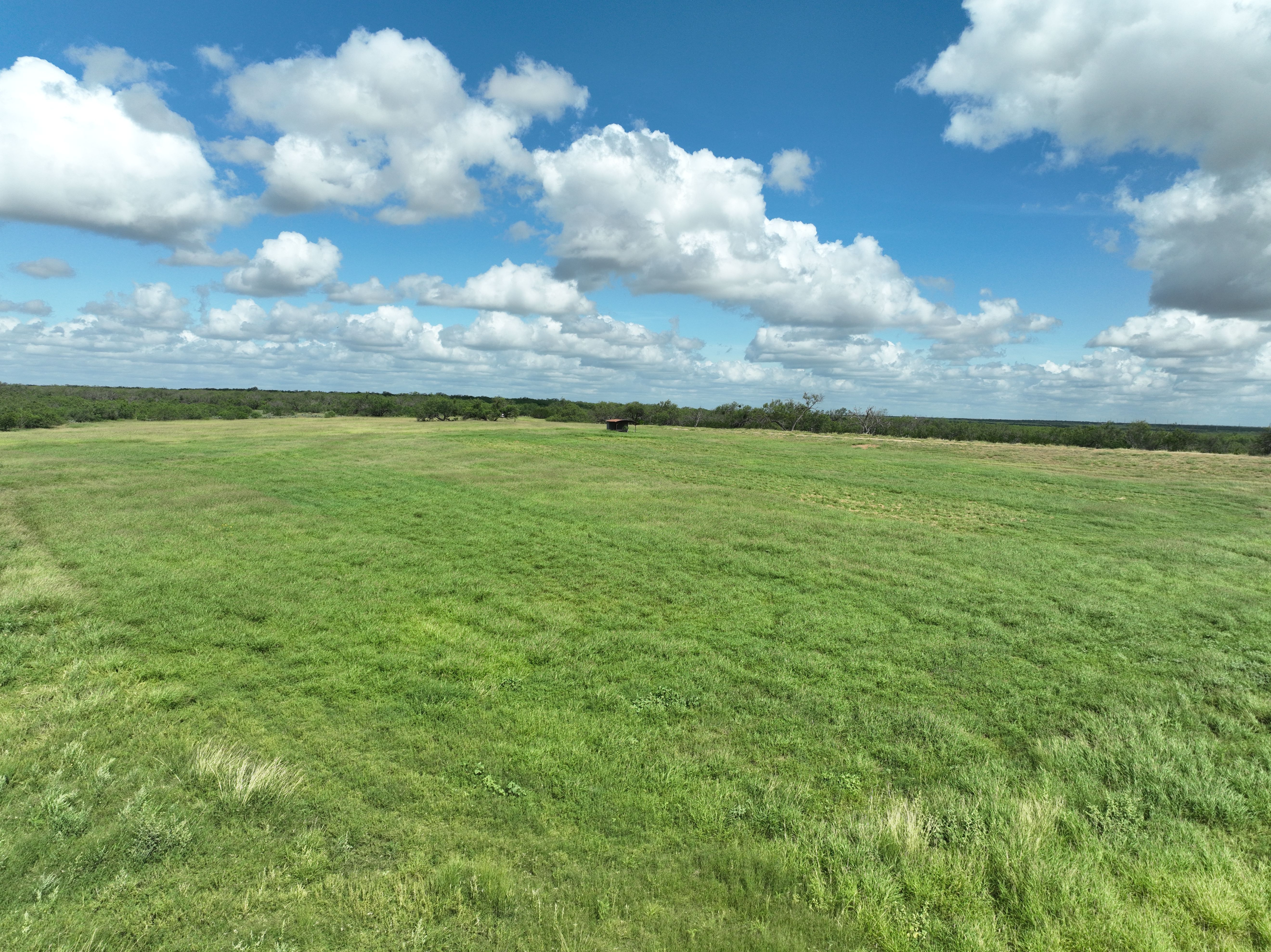  Moro Creek Ranch in Dimmit County - 物件實景
