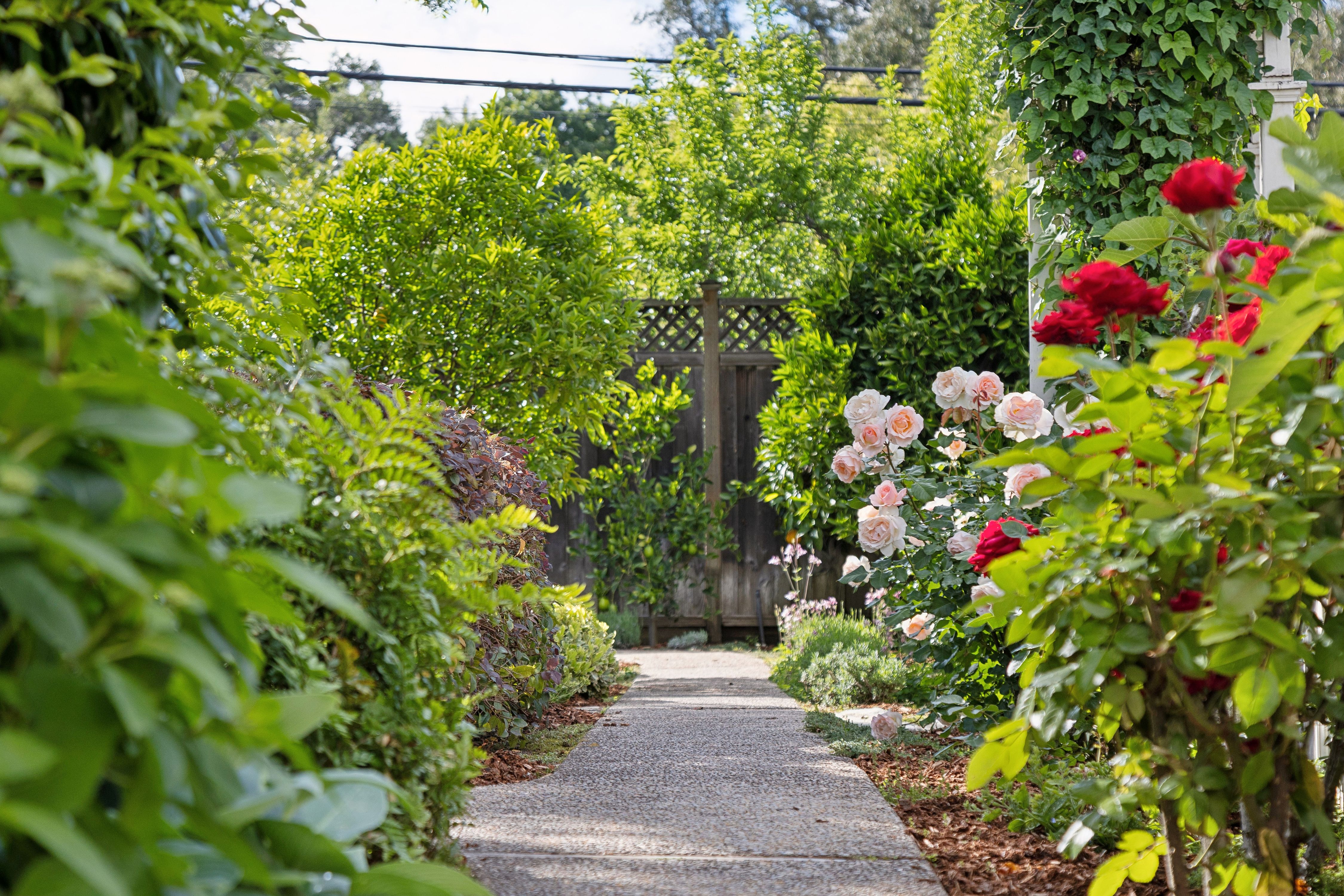  Timeless Los Gatos Craftsman in Premier Downtown Location - 物件實景