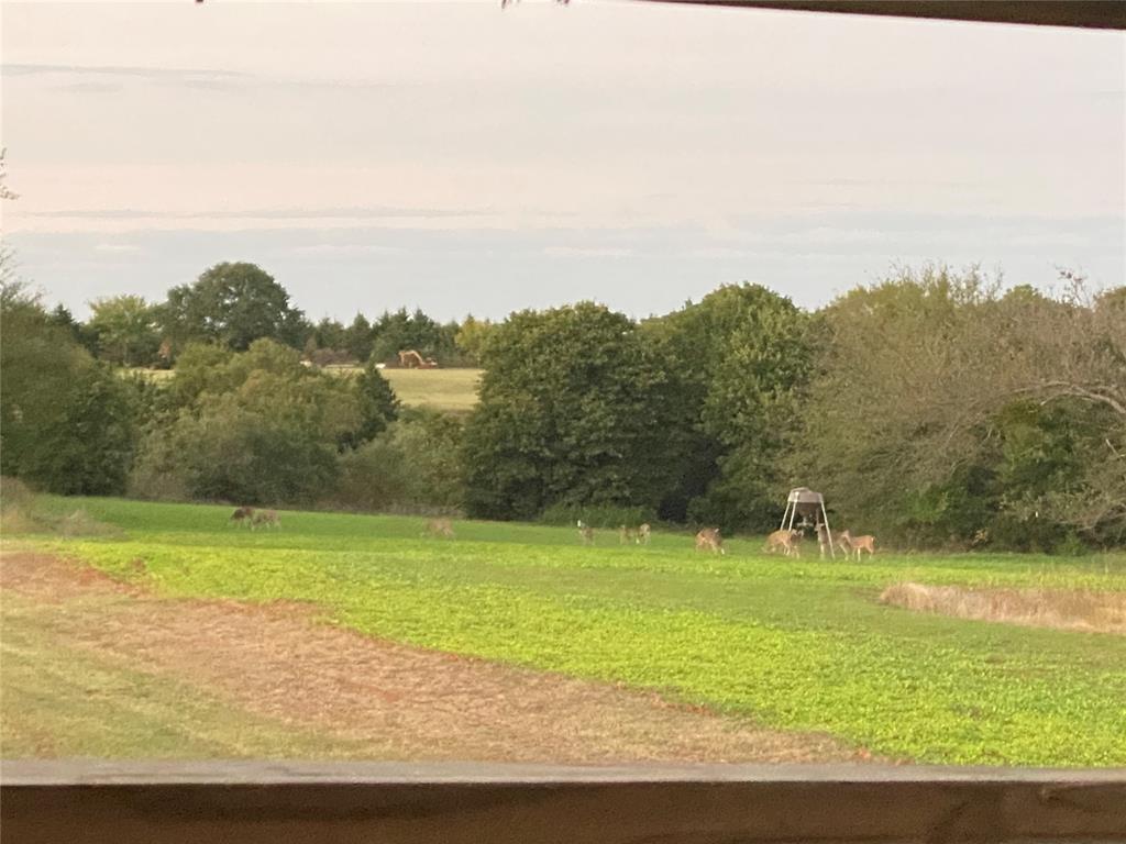 Goldsby, Oklahoma, 73093, United States, ,Land,For Sale,1976317