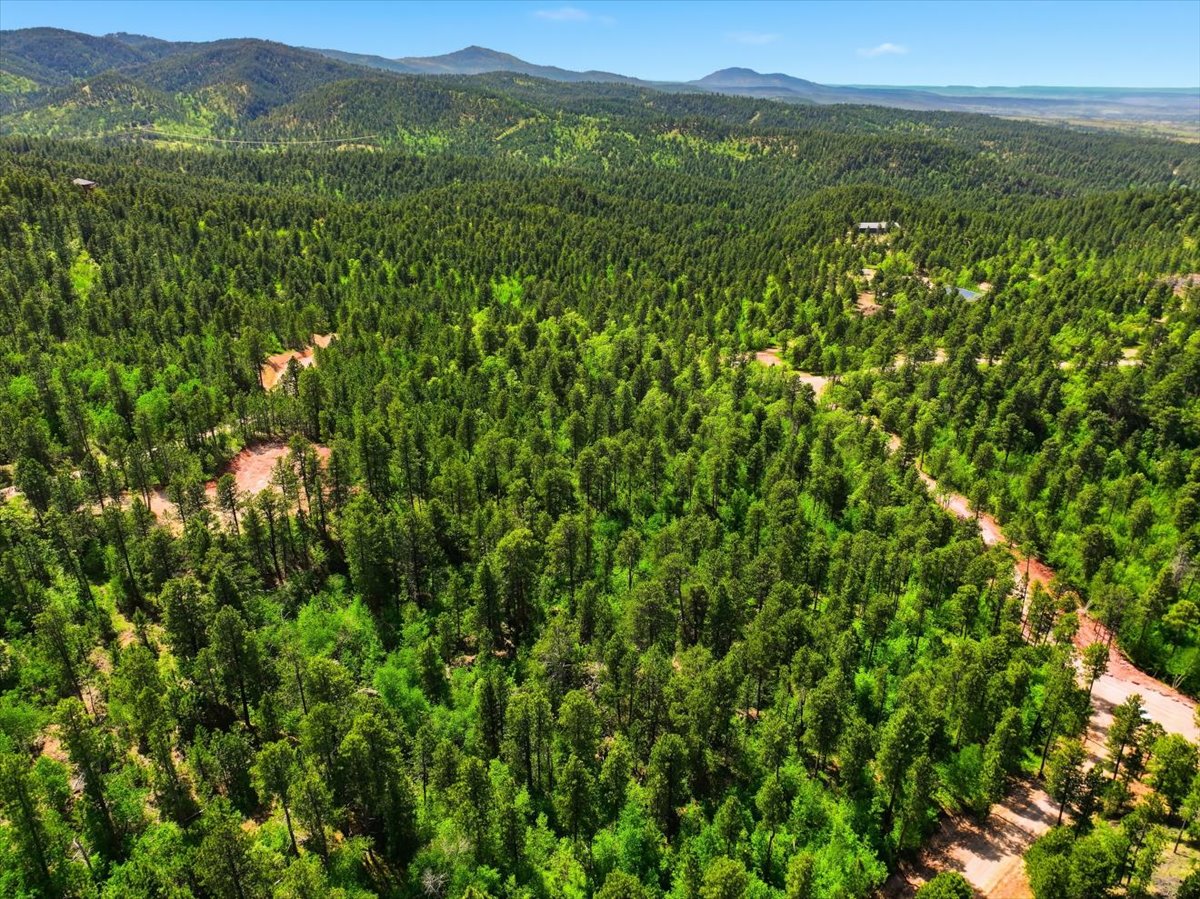 Spearfish, South Dakota, 57783, United States, ,Land,For Sale,2048171