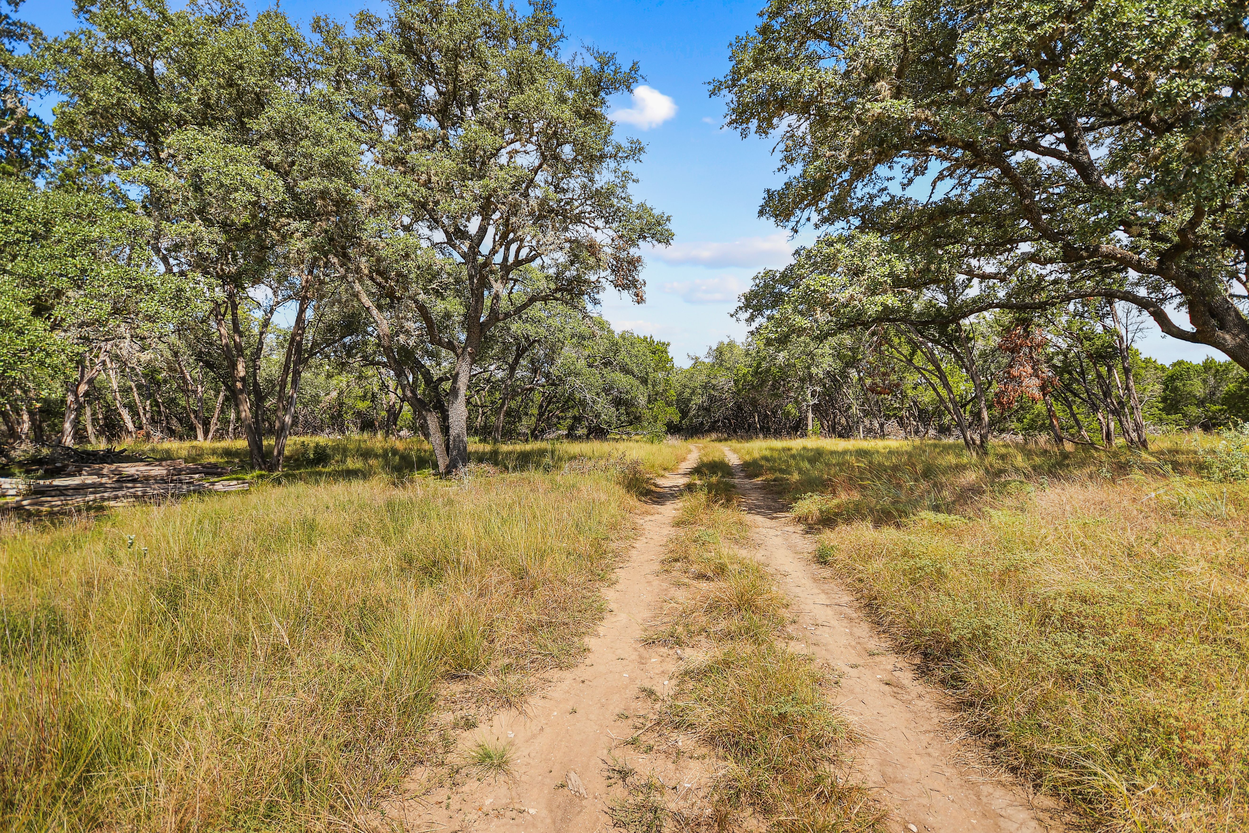  TBD Hwy 46 / Madrona Ranch Road, Pipe Creek, TX 78063 - 物件實景