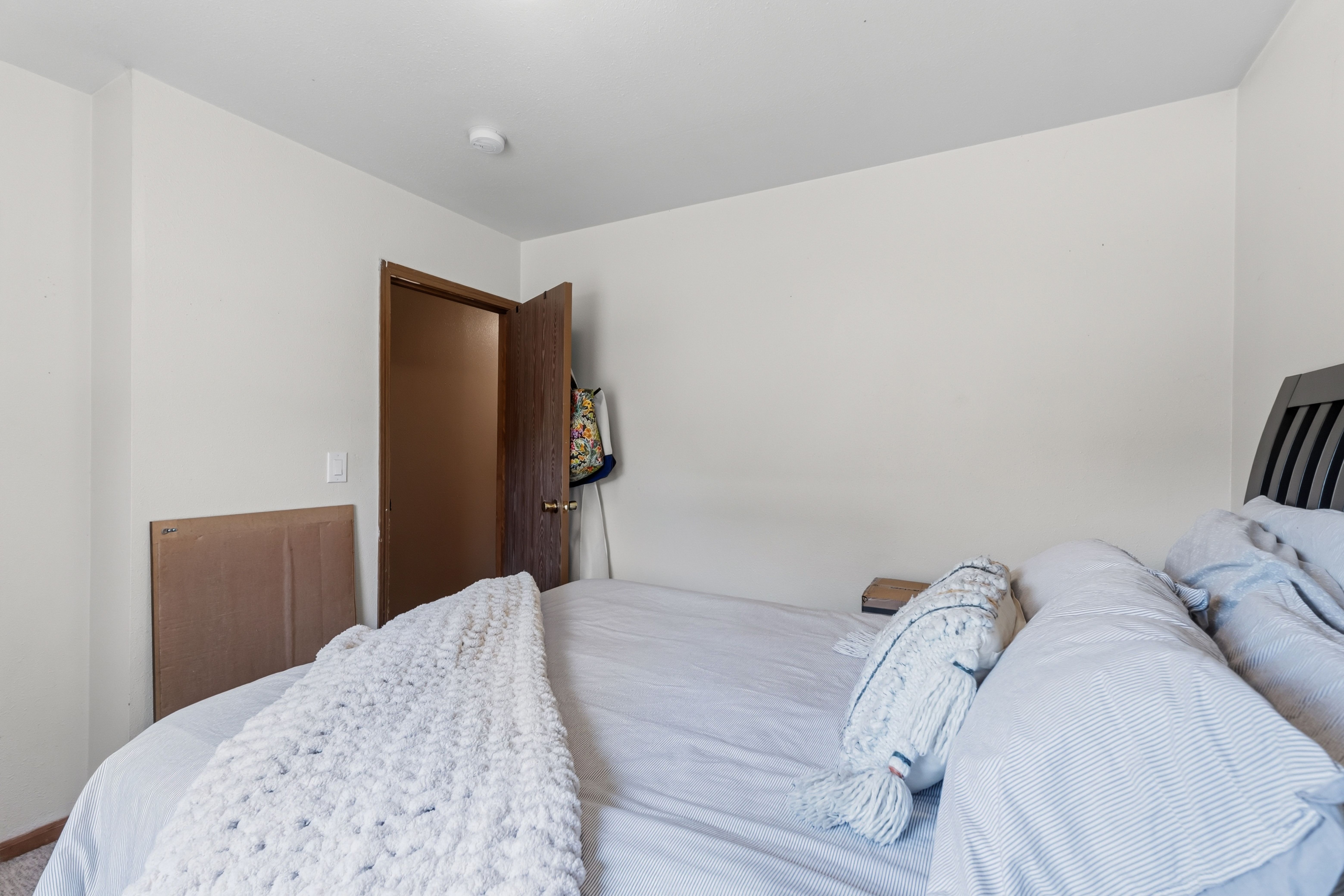  101 S Maple Street, Leadville, CO, 80461 - 物件實景