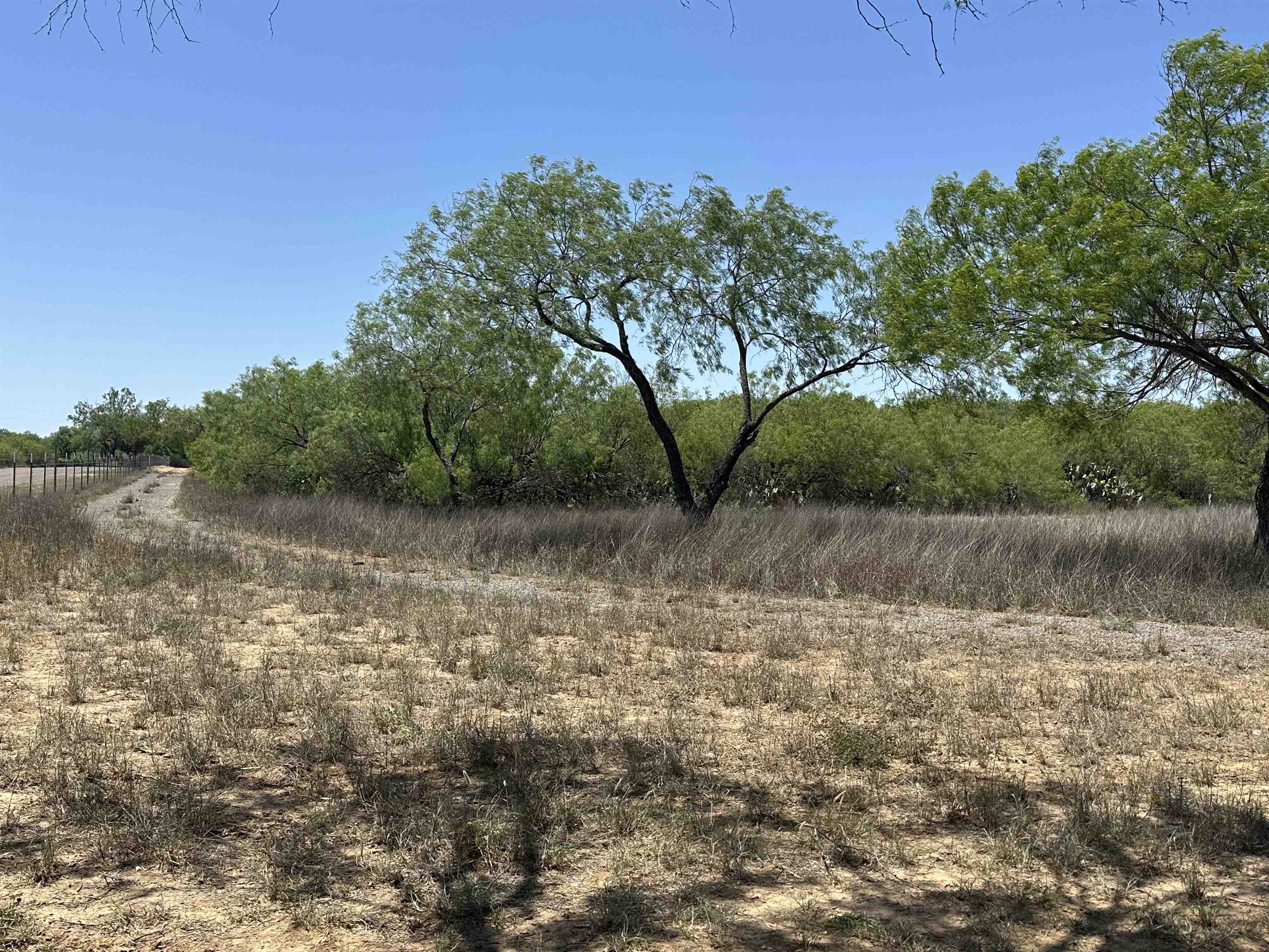 Laredo, Texas, 78045, United States, ,Land,For Sale,1770217