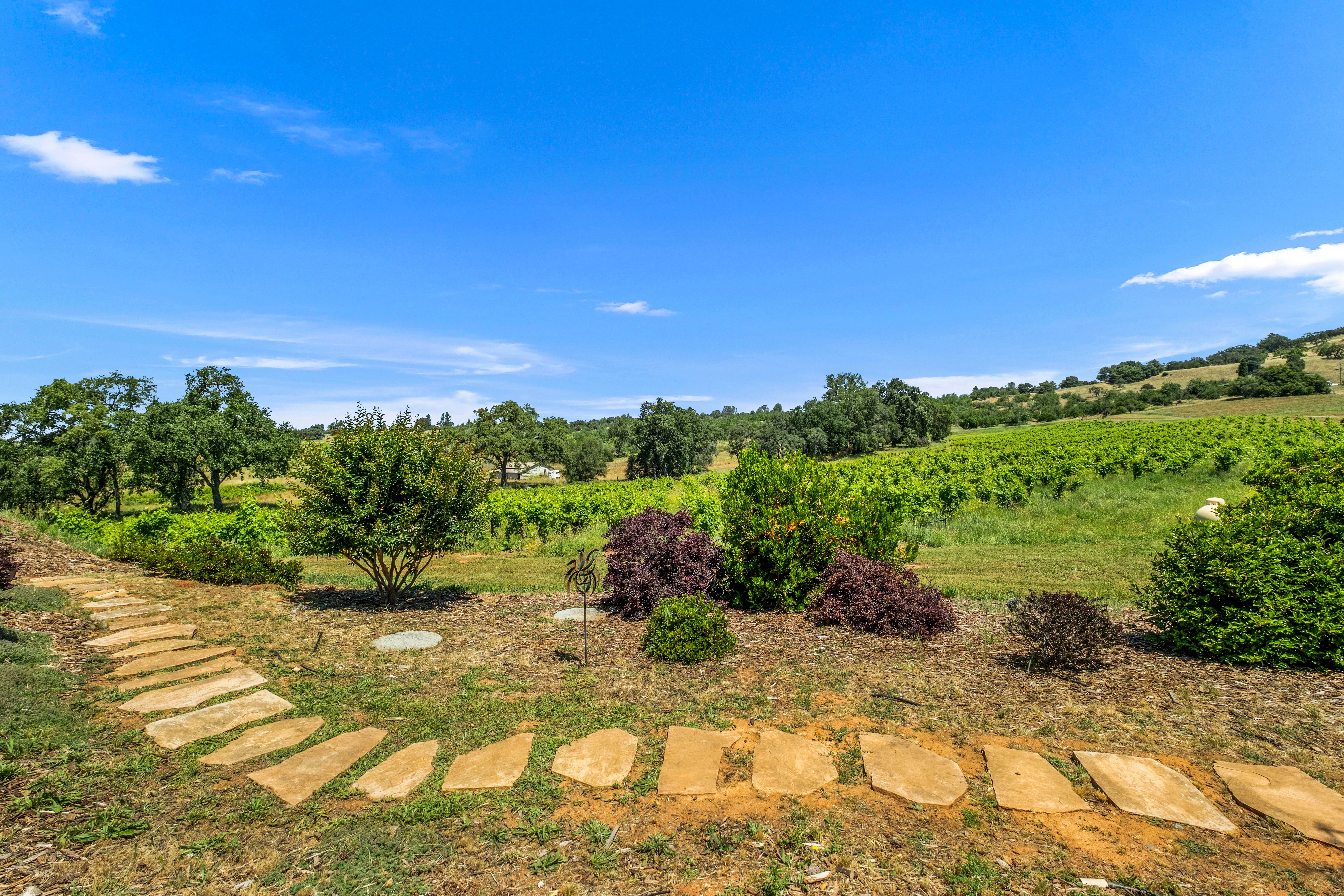  12200 Shenandoah Road, Plymouth, CA 95669 - 物件實景