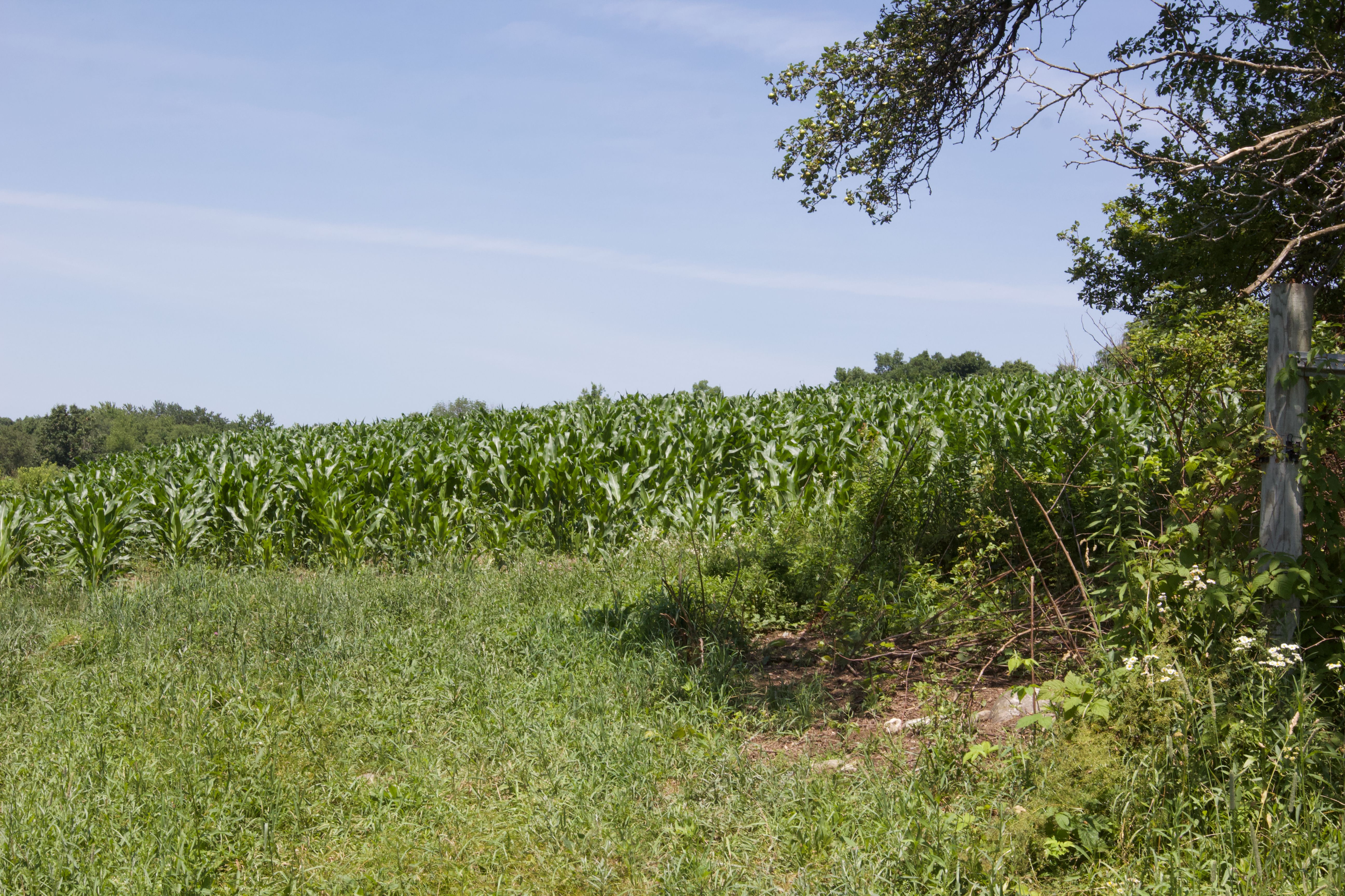  90 West End Road, Hillsdale, NY 12529 - 物件實景