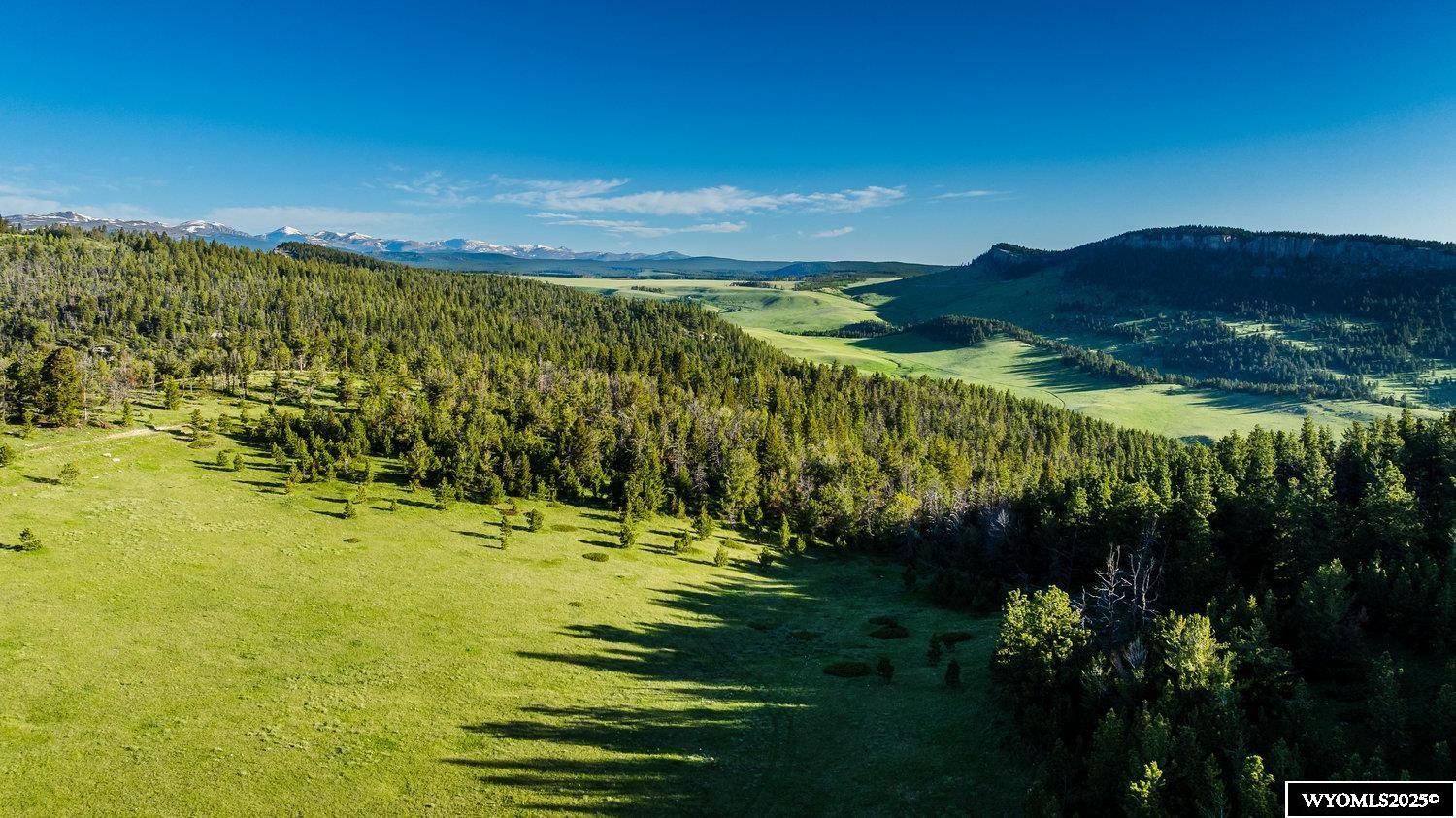 Buffalo, Wyoming, 82834, United States, ,Land,For Sale,1778348