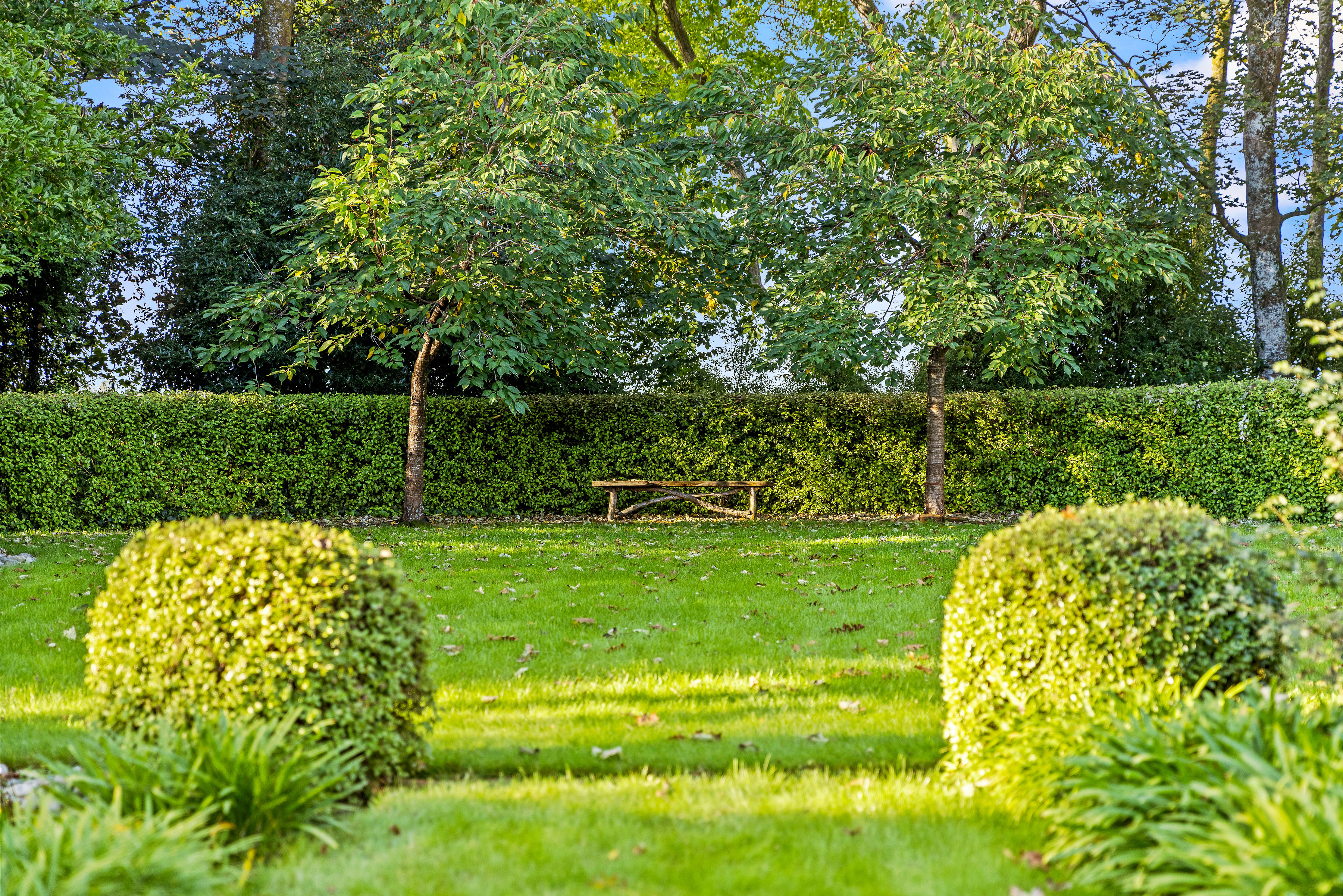  Landmark Homestead rezoned with substantial landbank - 物件實景