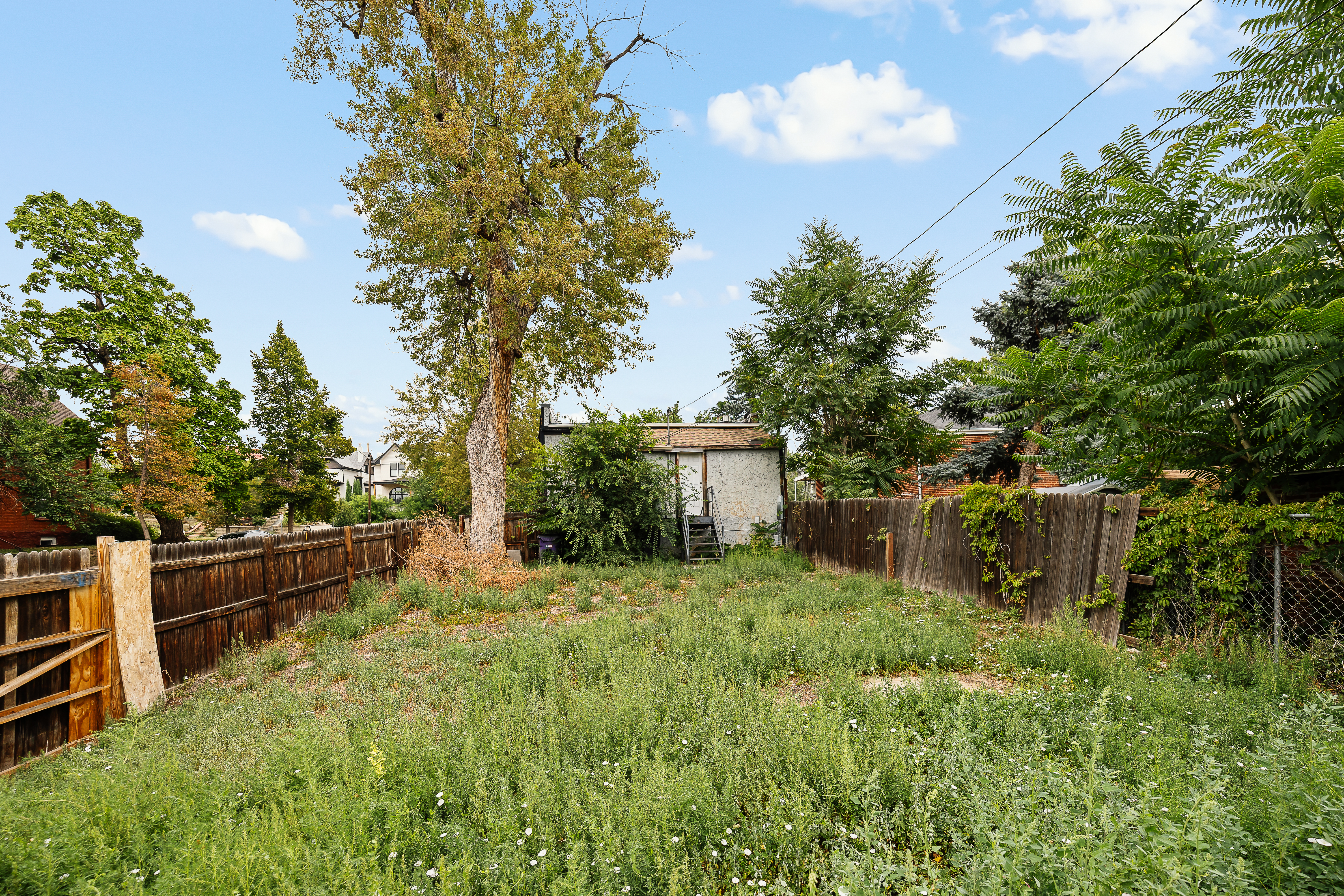  Premier homesite in the heart Sloan Lake - 物件實景