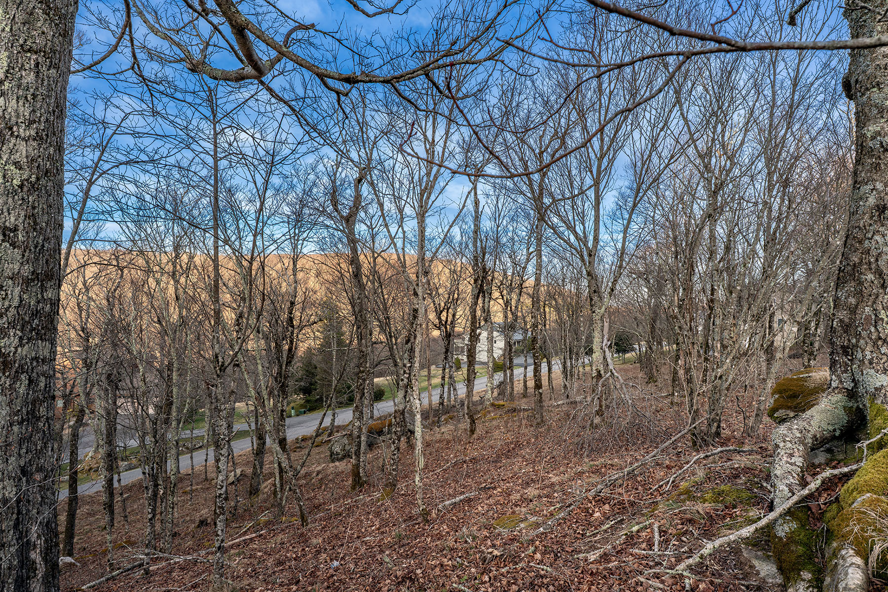  WOODLAND MEADOWS - BEECH MOUNTAIN - 物件實景