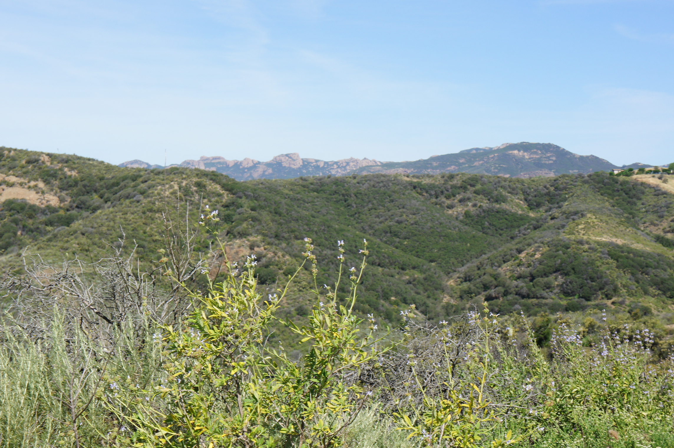  0 Encinal Canyon Rd - 物件實景
