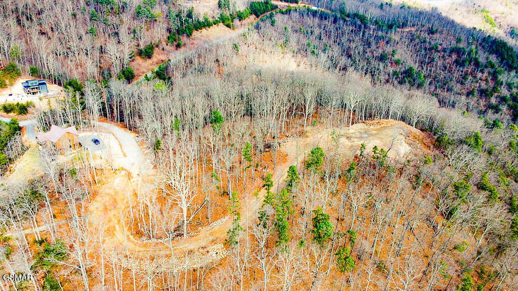 Sevierville, Tennessee, 37876, United States, ,Land,For Sale,2008093