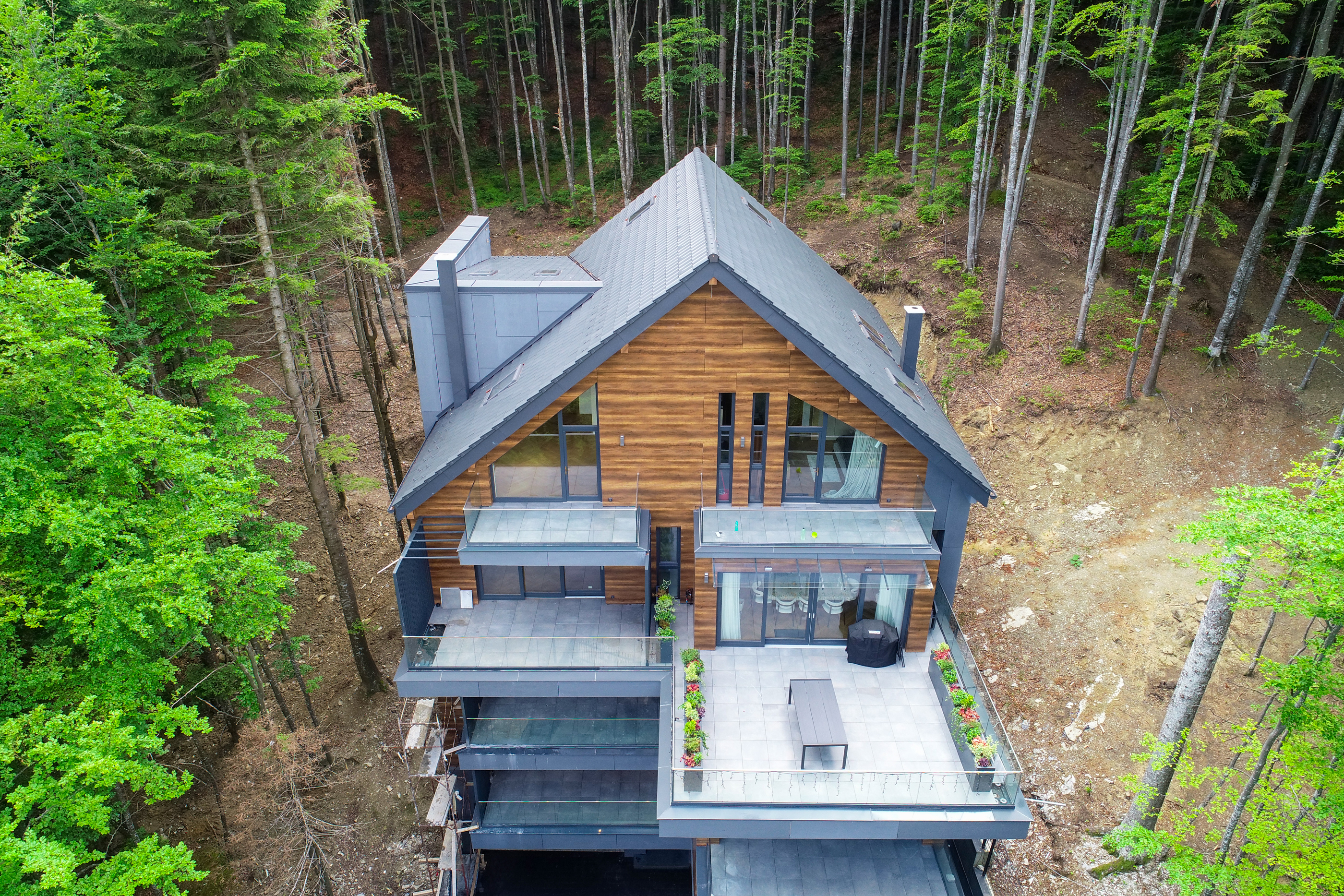  Penthouse Bordering the Forest, Sinaia - 物件實景