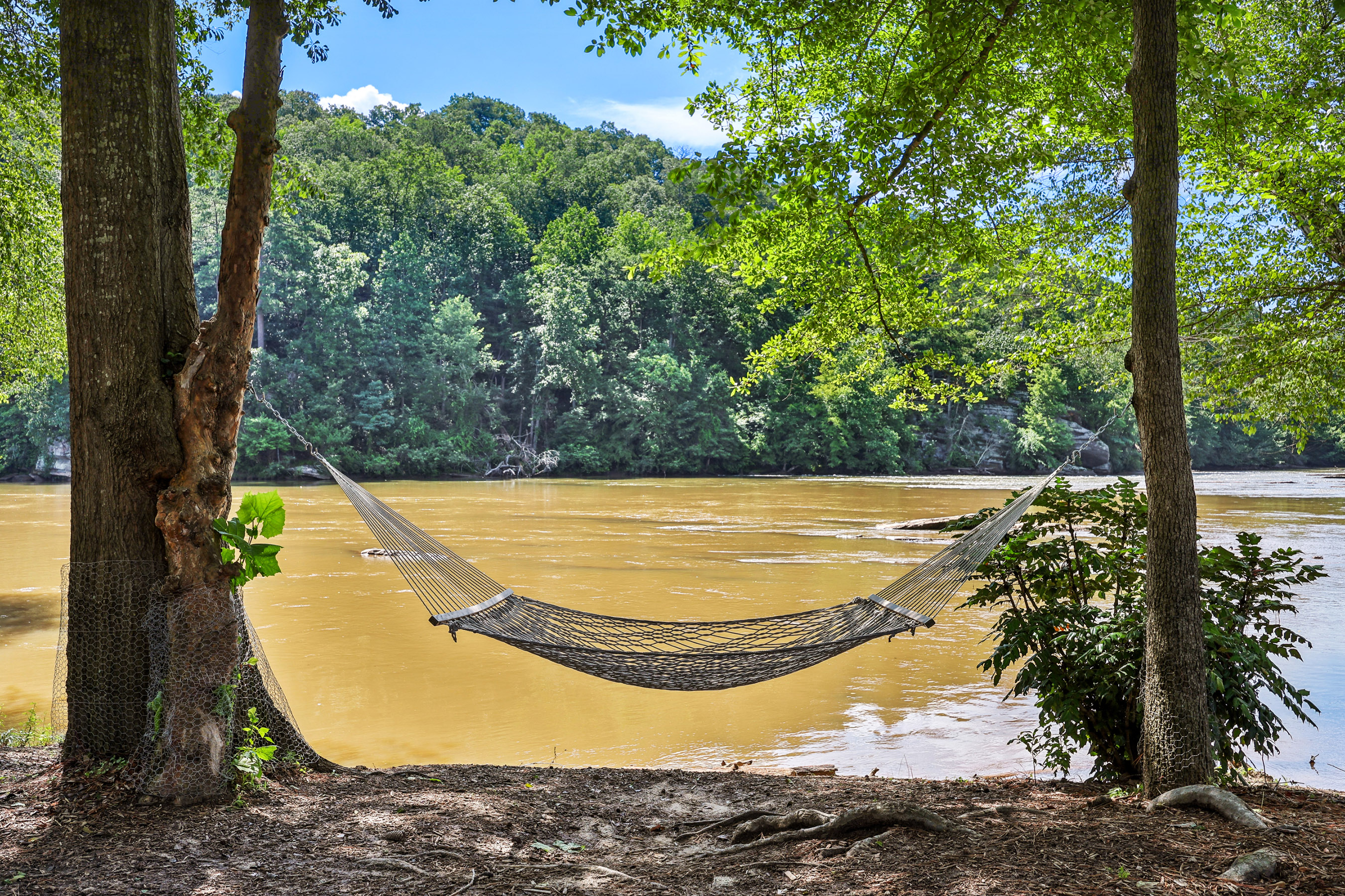  Rare Waterfront Living on the Chattahoochee River - 物件實景