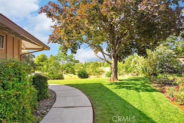 Paradise, California, 95969, United States, ,Land,For Sale,1981444