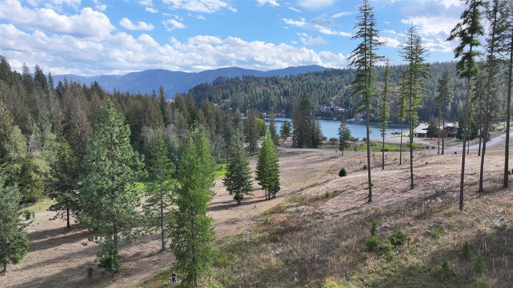 Sagle, Idaho, 83860, United States, ,Land,For Sale,1980438