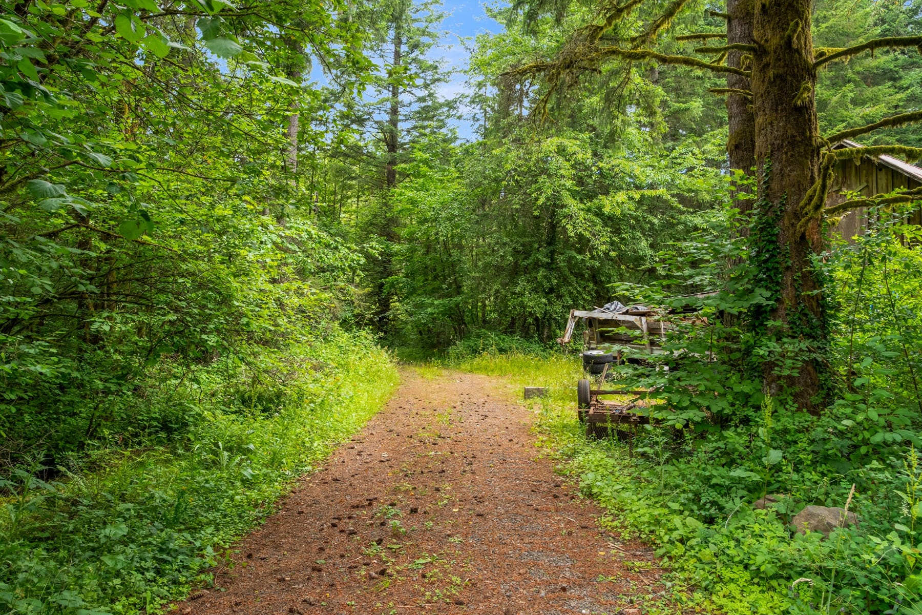  3832 NE CAVITT RD Camas, WA 98607 - 物件實景