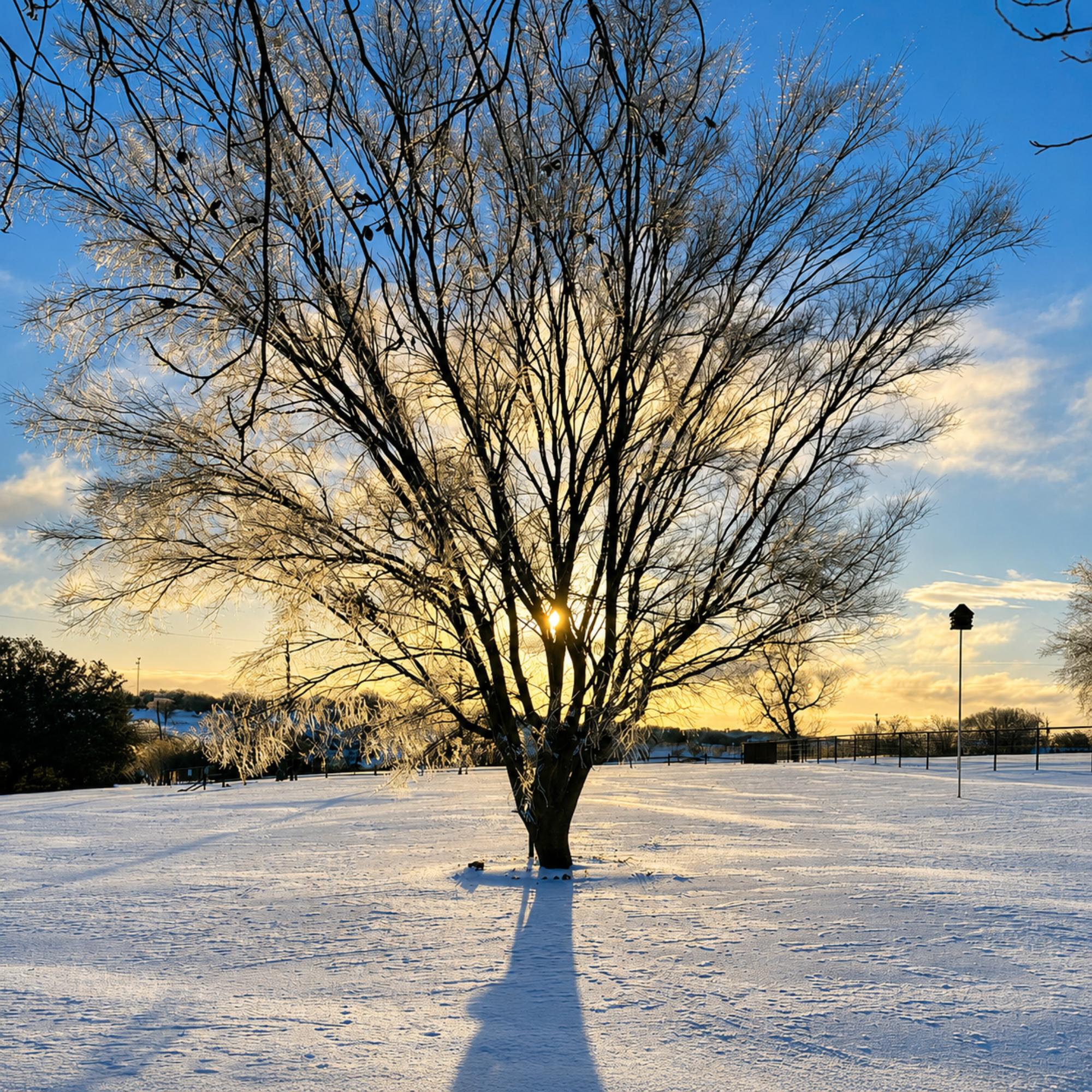  13800 Llano Drive, Weatherford, TX, 76087 - 物件實景