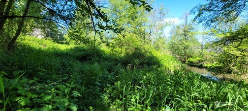 Lake Stevens, Washington, 98258, United States, ,Land,For Sale,1804335