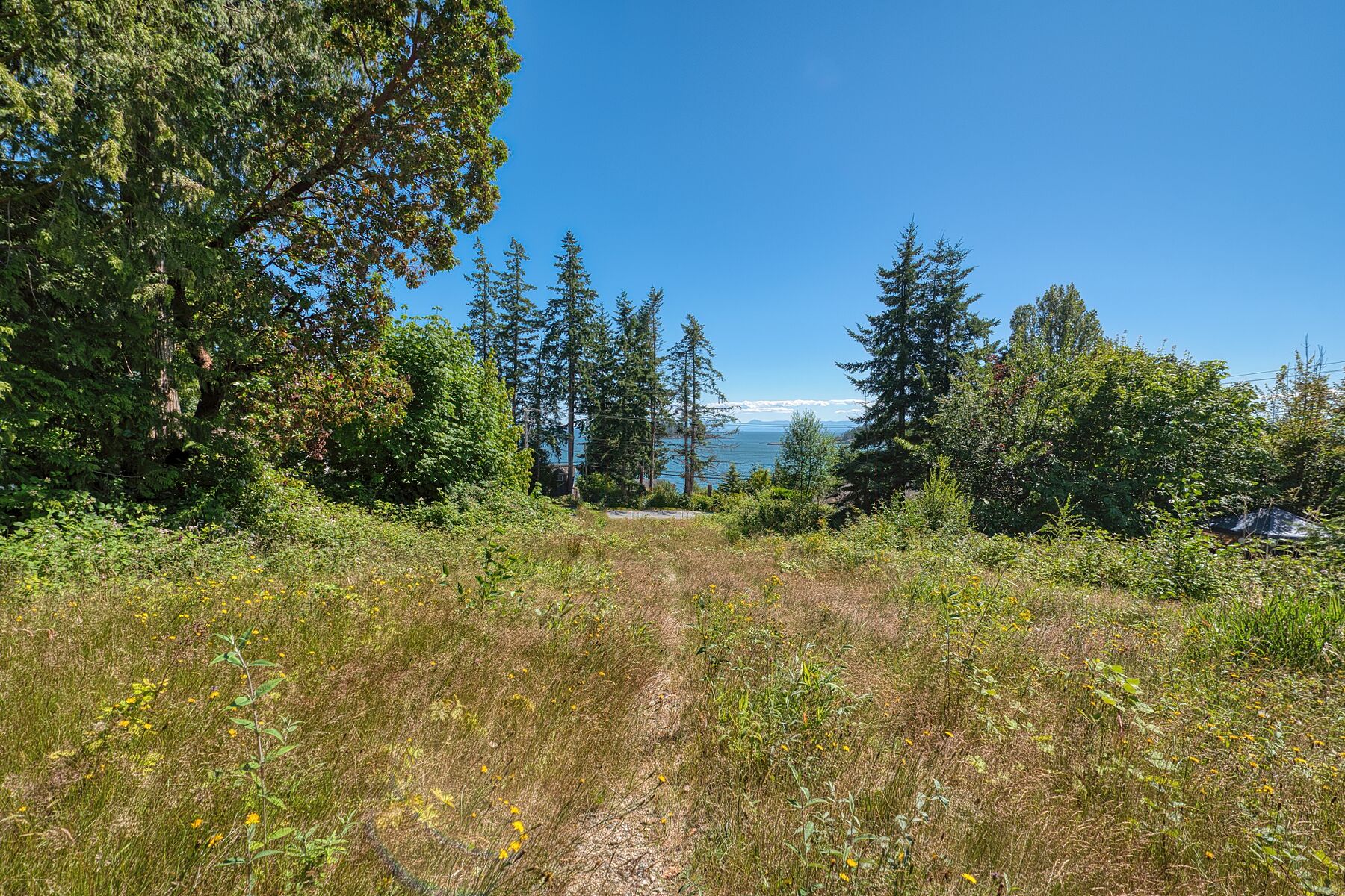  Sechelt, Sunshine Coast - 物件實景