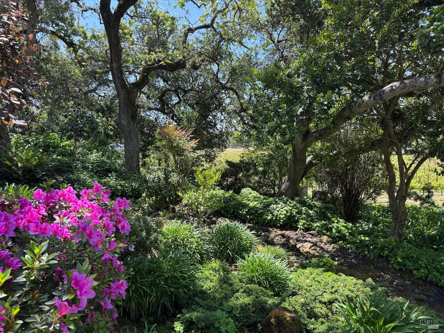 Santa Rosa, California, 95404, United States, 4 Bedrooms Bedrooms, ,4 BathroomsBathrooms,Residential,For Sale,1805193