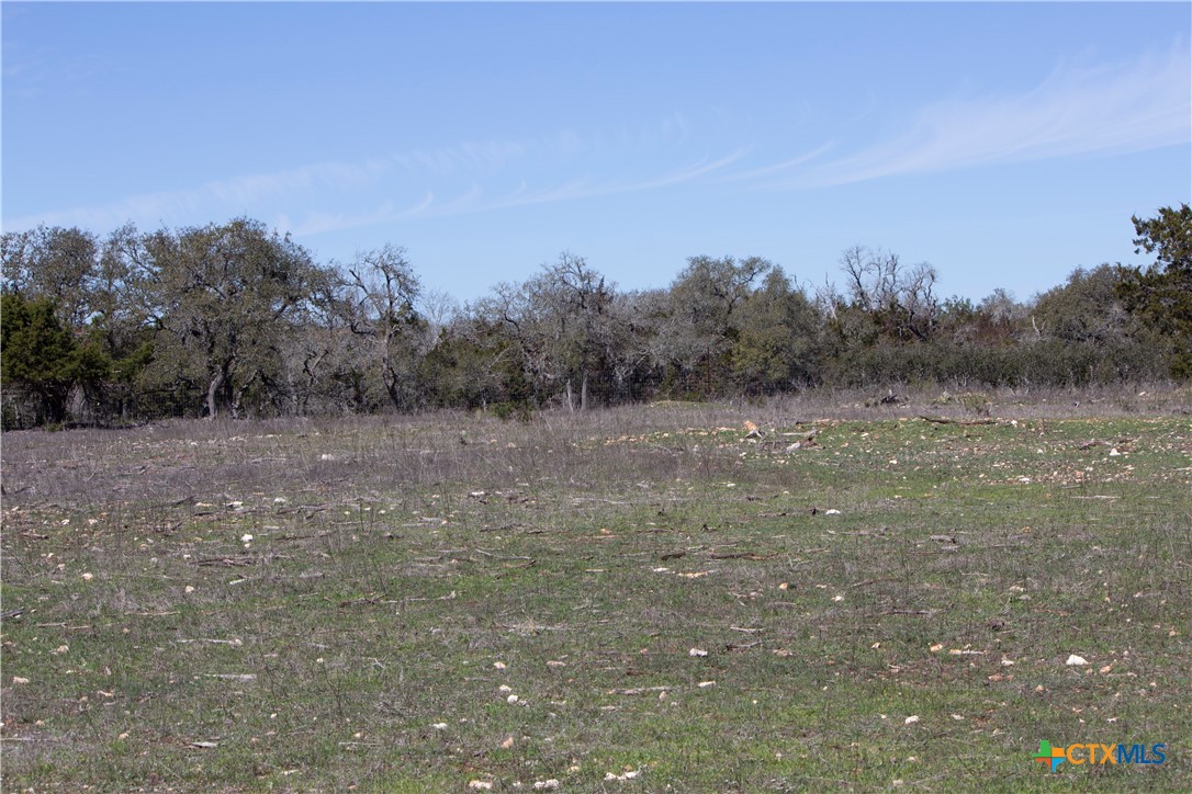 Blanco, Texas, 78606, United States, ,Land,For Sale,1877440