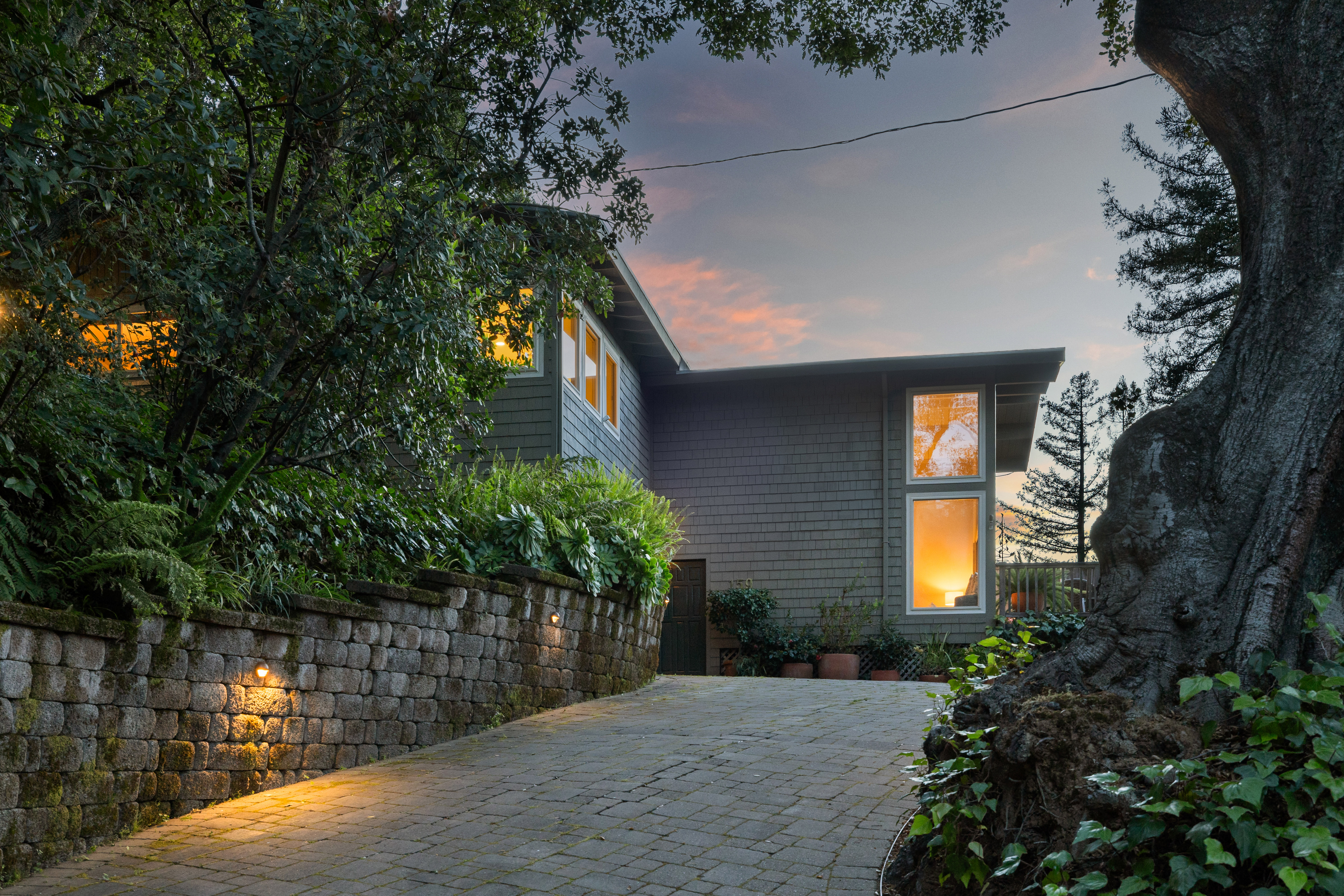  Mid-Century Design and Natural Tranquility in San Rafael’s West End - 物件實景