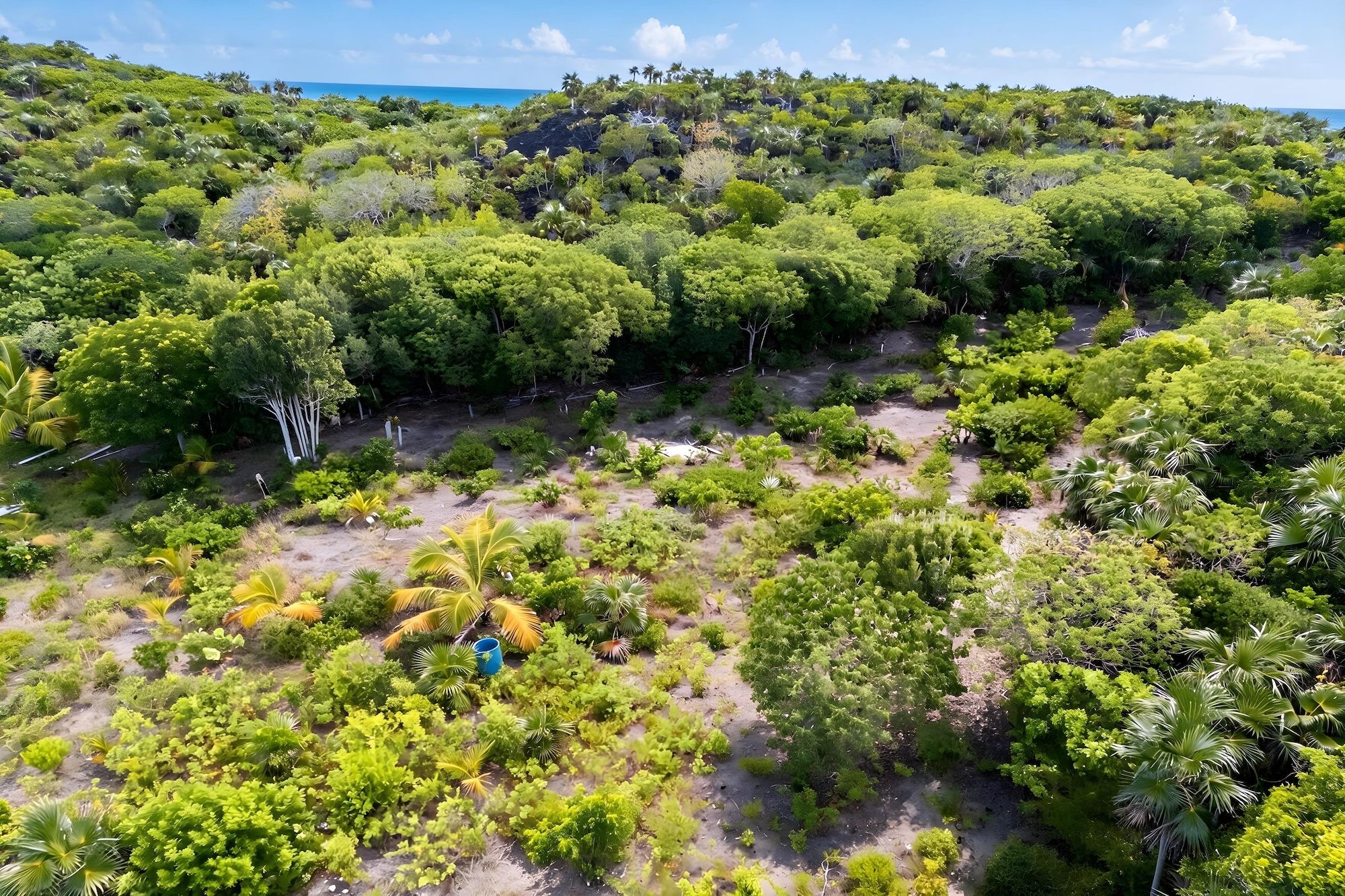  25.38 Acres Elizabeth Island - 物件實景