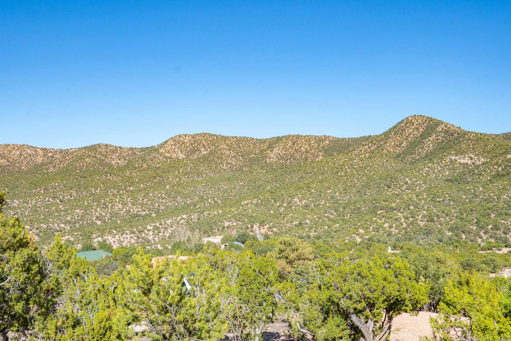  3.5 Acre Lot Camino Del Canon - 物件實景