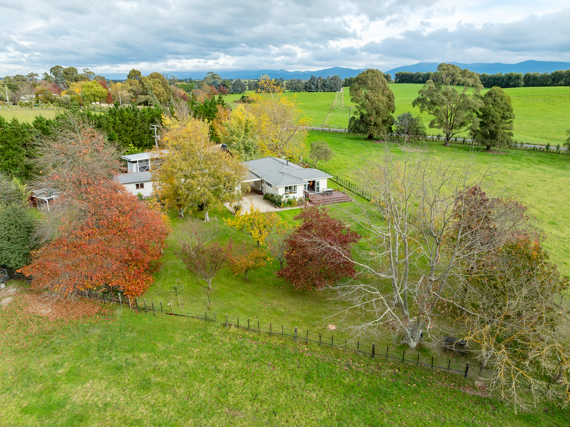  Wairarapa Lifestyle Haven - 物件實景