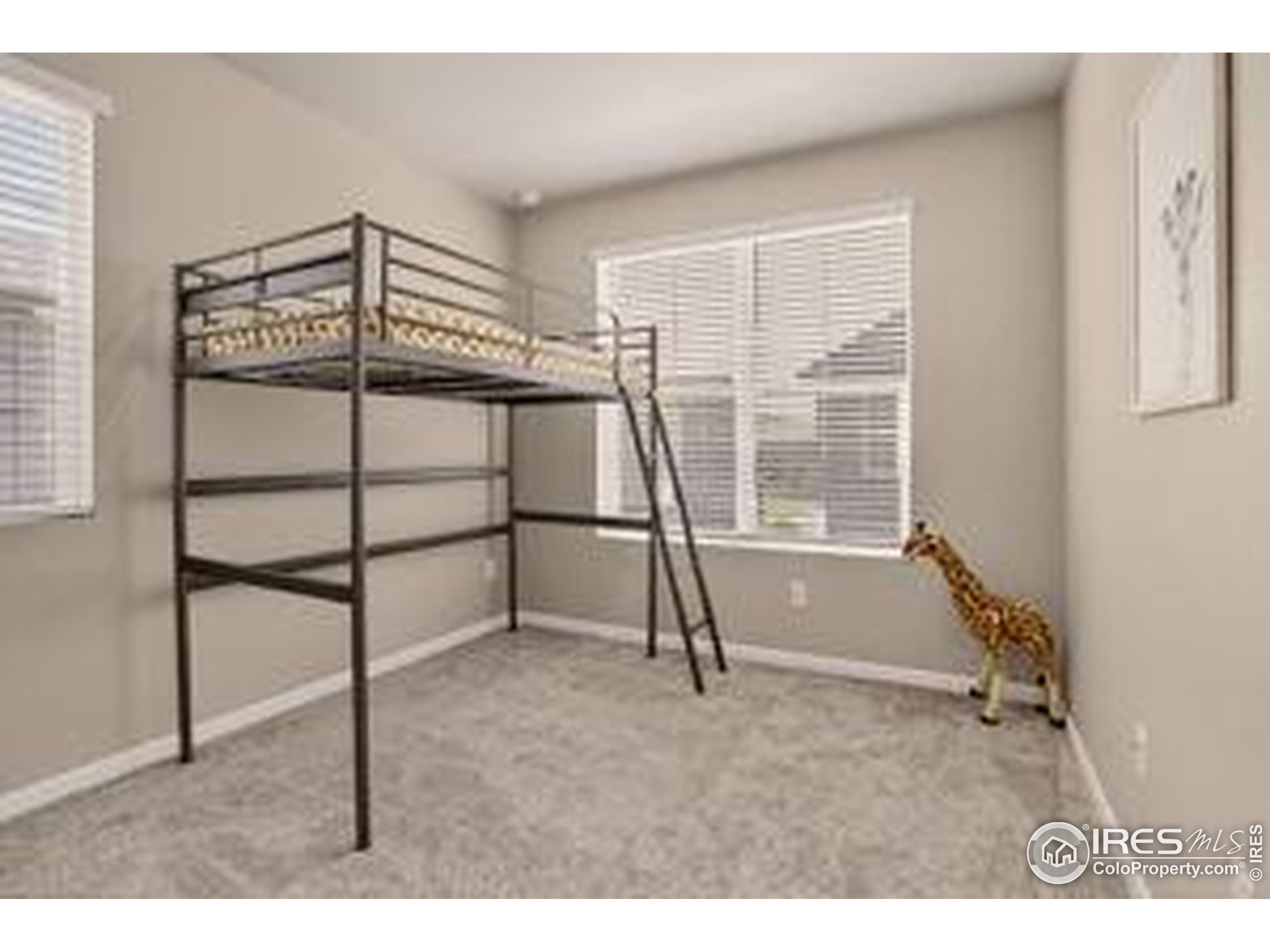 Erie, Colorado, 80516, United States, 3 Bedrooms Bedrooms, ,3 BathroomsBathrooms,Residential,For Sale,1876581