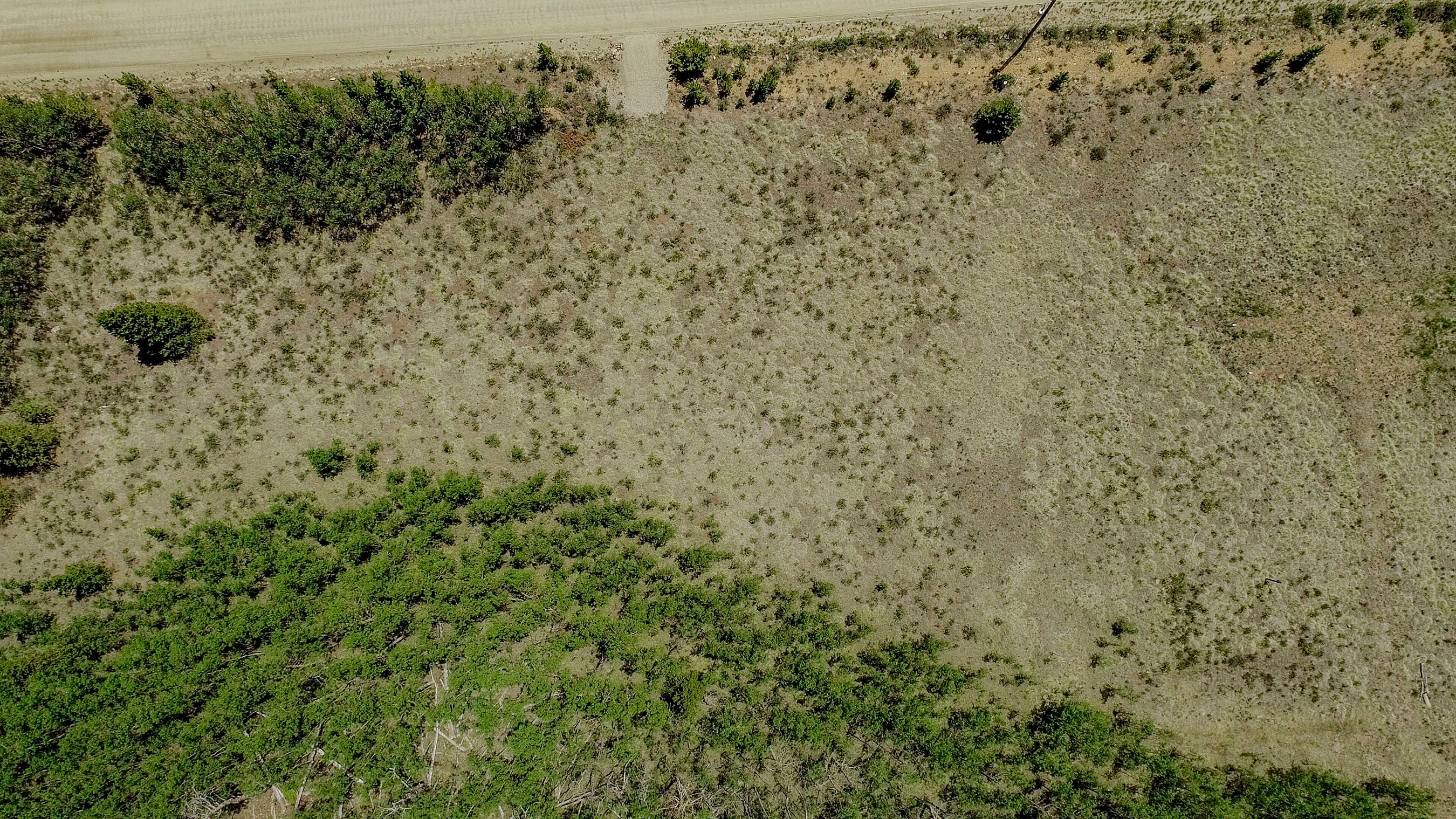  515 Wild Rye Road, Fairplay, CO, 80440 - 物件實景