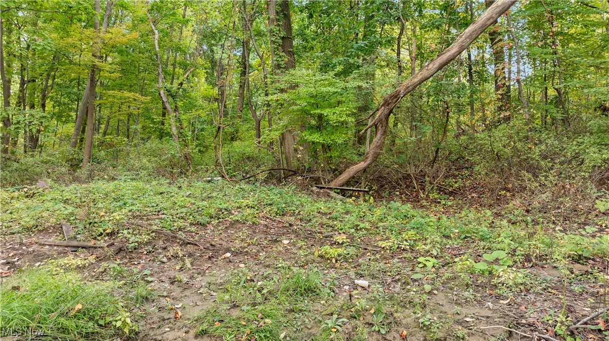 1356 E Turkeyfoot Lake Road, Akron, Ohio, 44312, United States, ,Land,For Sale,1356 E Turkeyfoot Lake Road,1668740