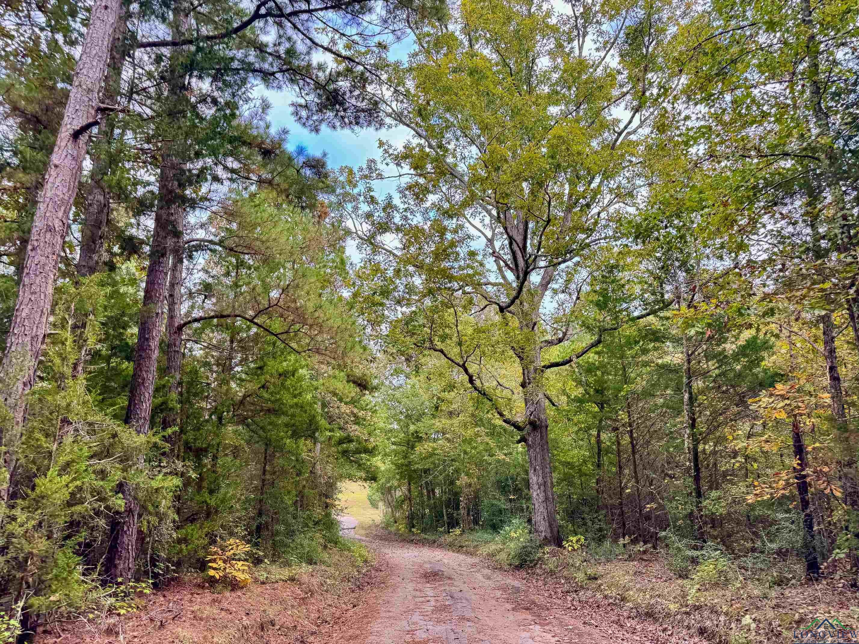 Marietta, Texas, 75566, United States, ,Land,For Sale,1977958