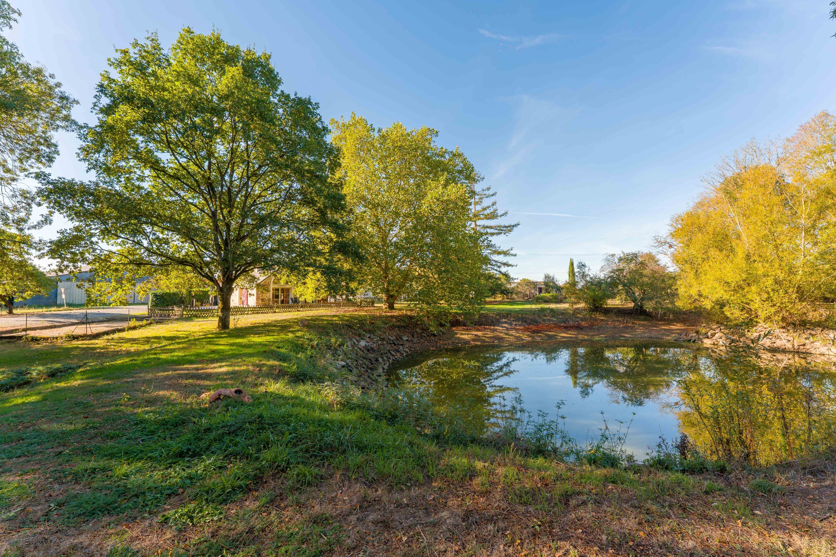  Equestrian property with 9 hectares stables and 2 houses - 物件實景