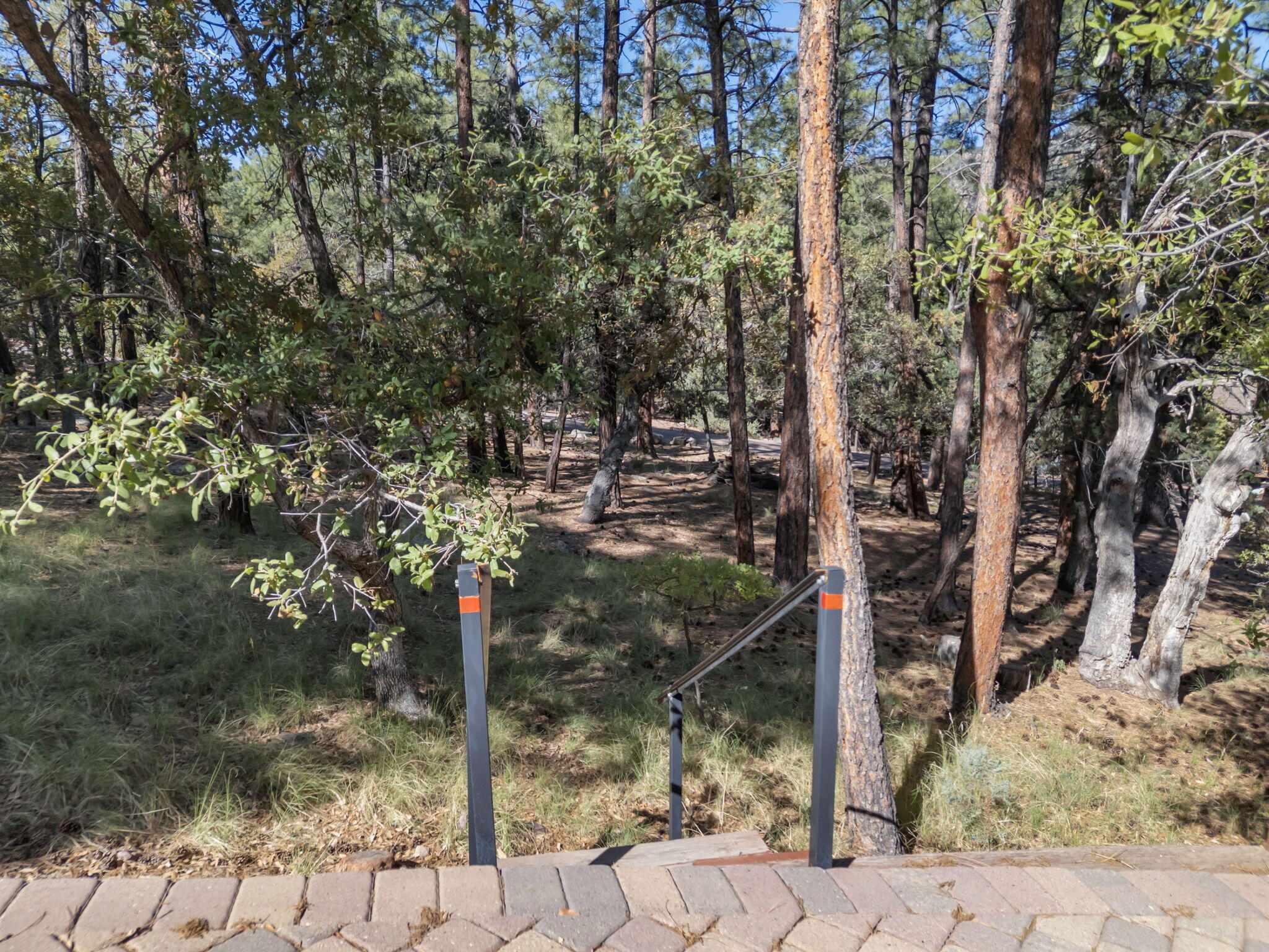 Pine, Arizona, 85544, United States, 3 Bedrooms Bedrooms, ,2 BathroomsBathrooms,Residential,For Sale,1828056