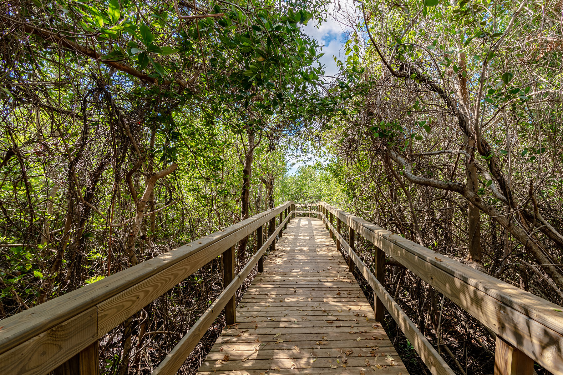  MARCO ISLAND - VINTAGE BAY - 物件實景