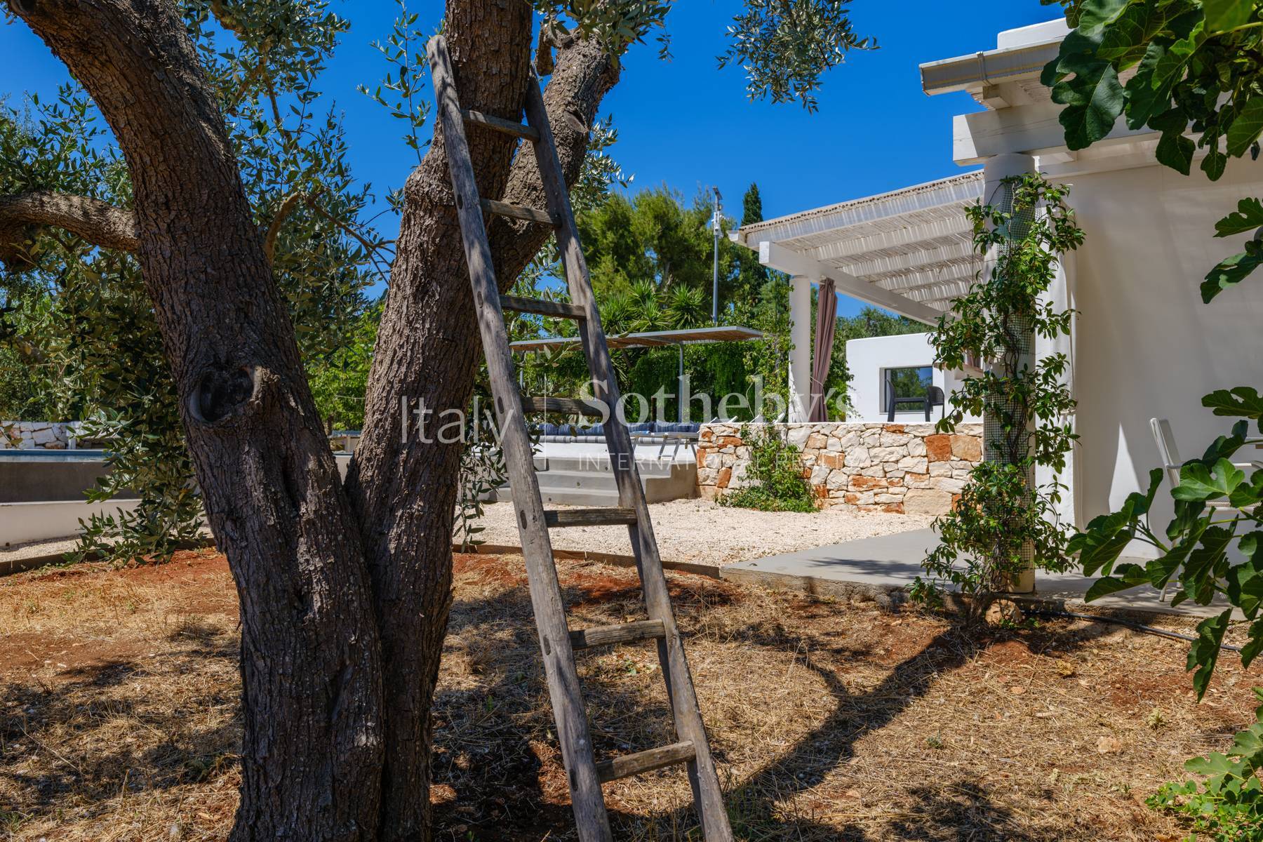  Authentic Trulli with Panoramic Ground in the Valle d