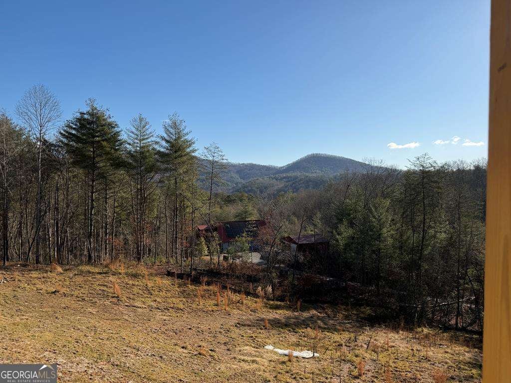 Mineral Bluff, Georgia, 30559, United States, 3 Bedrooms Bedrooms, ,3 BathroomsBathrooms,Residential,For Sale,2006600