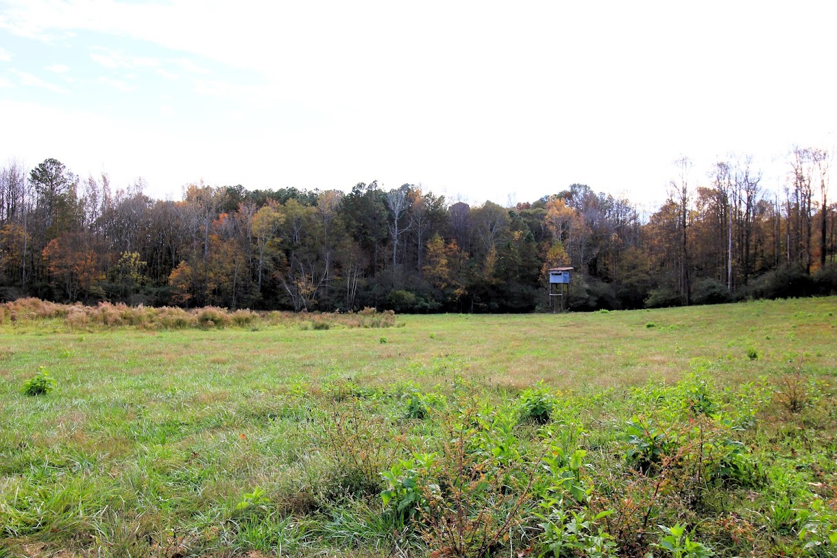 Bowdon, Georgia, 30108, United States, ,Land,For Sale,1989904
