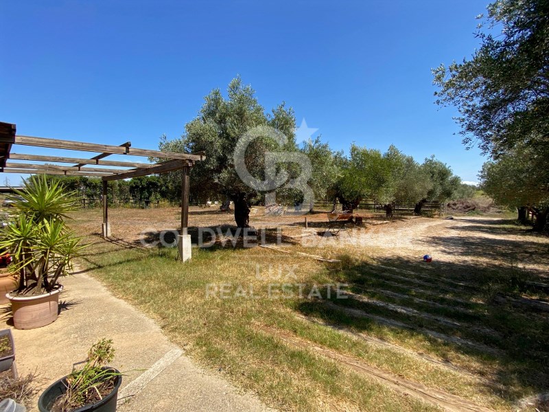 Girona, Siurana, Siurana Girona, Siurana, Siurana, Siurana, Catalonia, ES, 5 Bedrooms Bedrooms, ,3 BathroomsBathrooms,Residential,For Sale,Girona, Siurana, Siurana Girona, Siurana, Siurana ,1621457