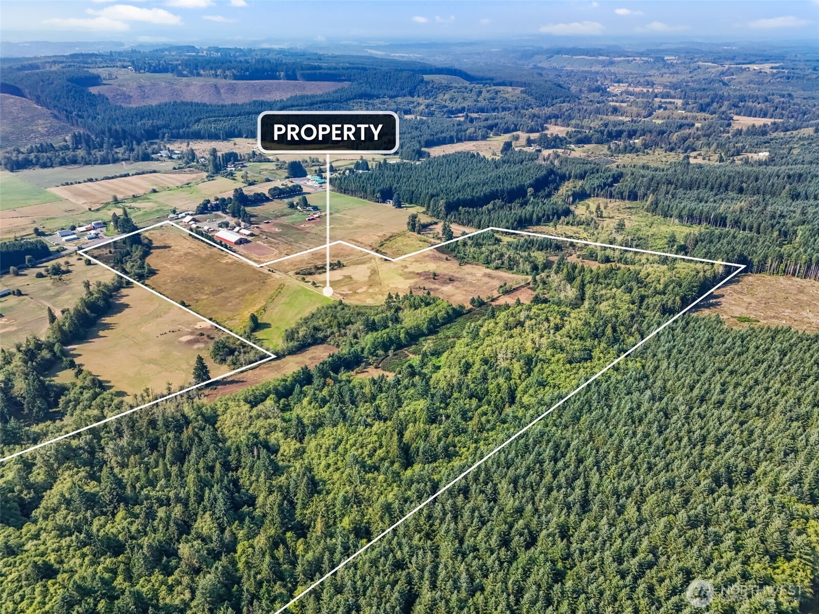 Onalaska, Washington, 98570, United States, ,Land,For Sale,1994245