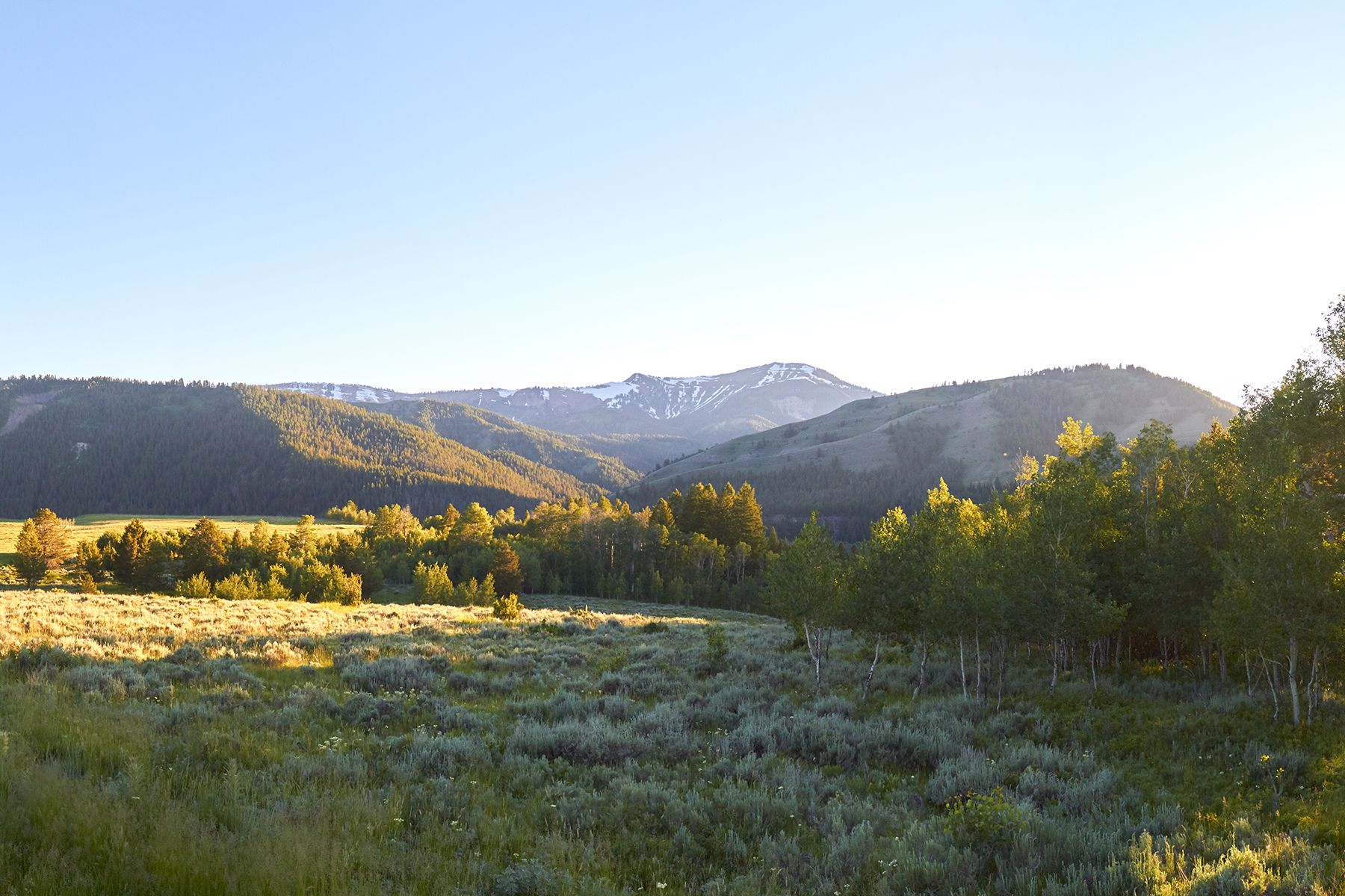  Snake River Sporting Club Lot - 物件實景